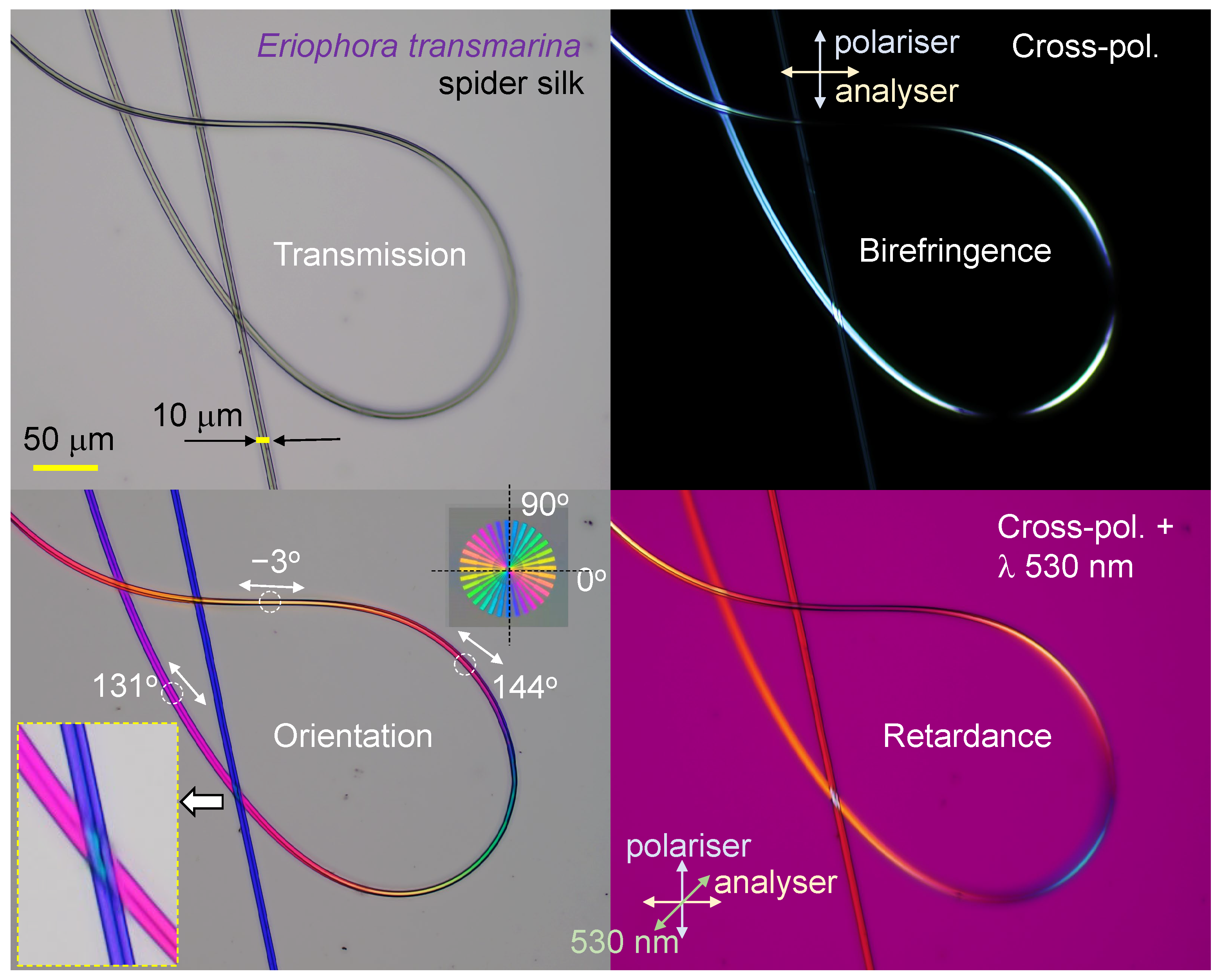 Nanomaterials 13 01894 g008