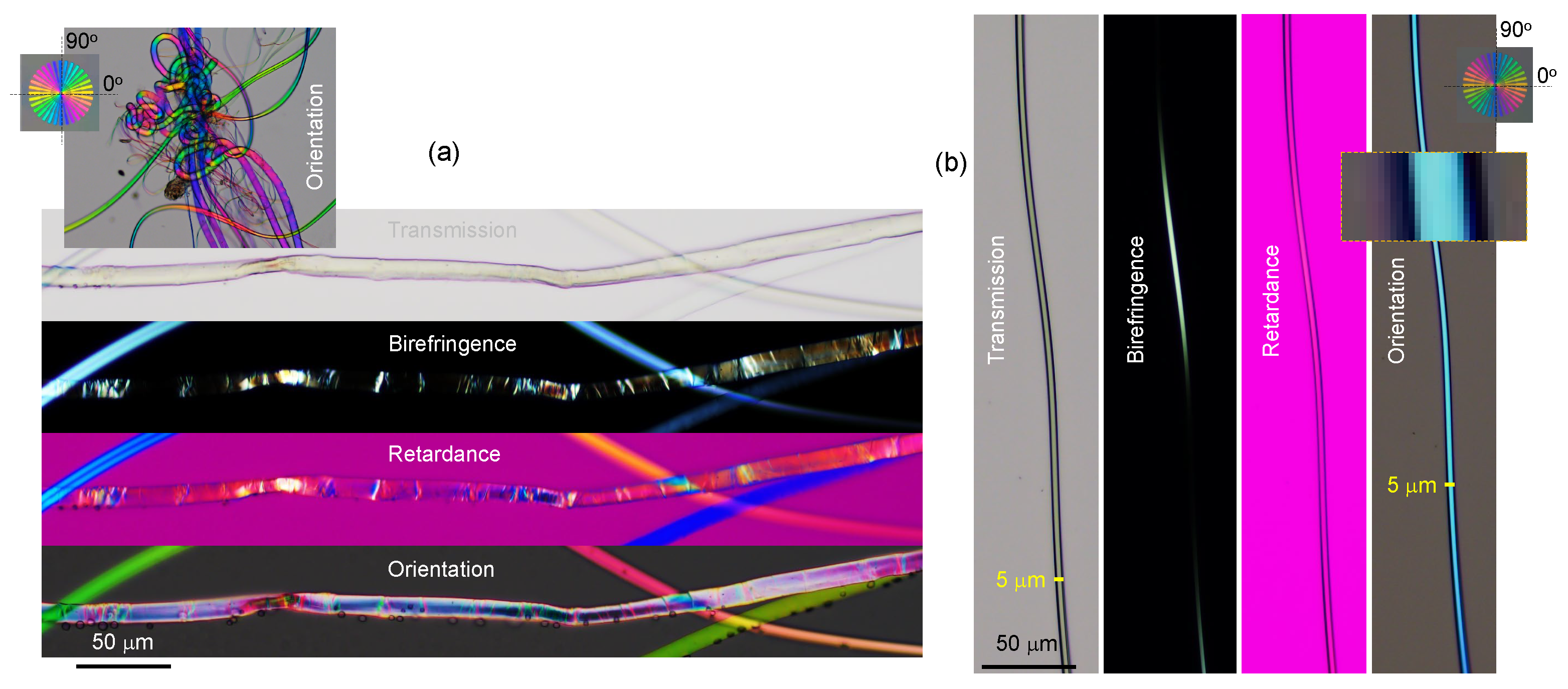 Nanomaterials 13 01894 g009