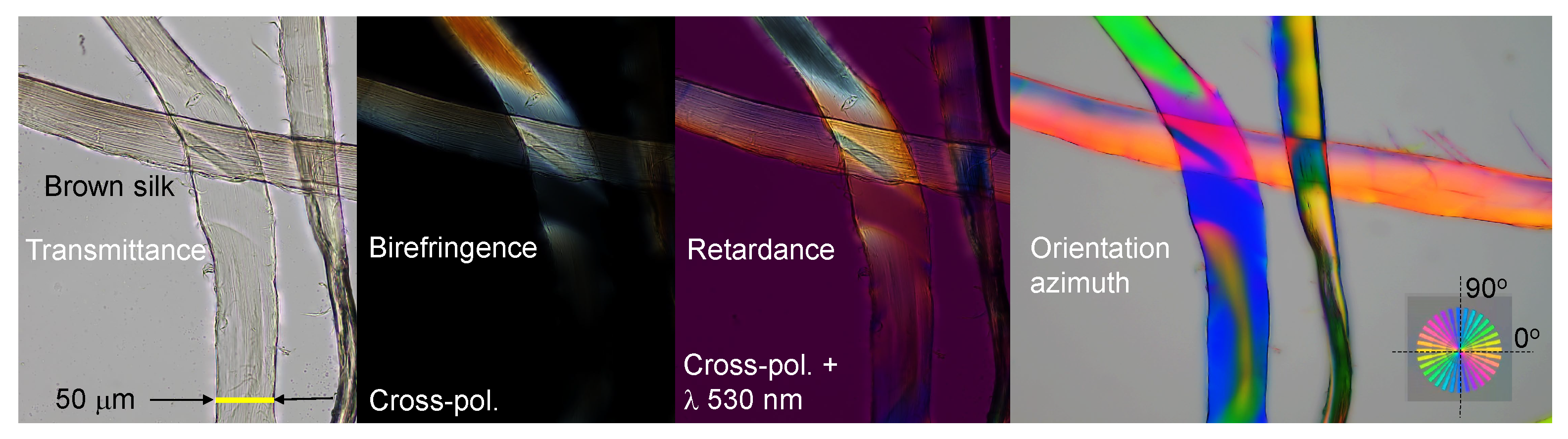 Nanomaterials 13 01894 g010