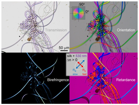 Nanomaterials 13 01894 g0a1