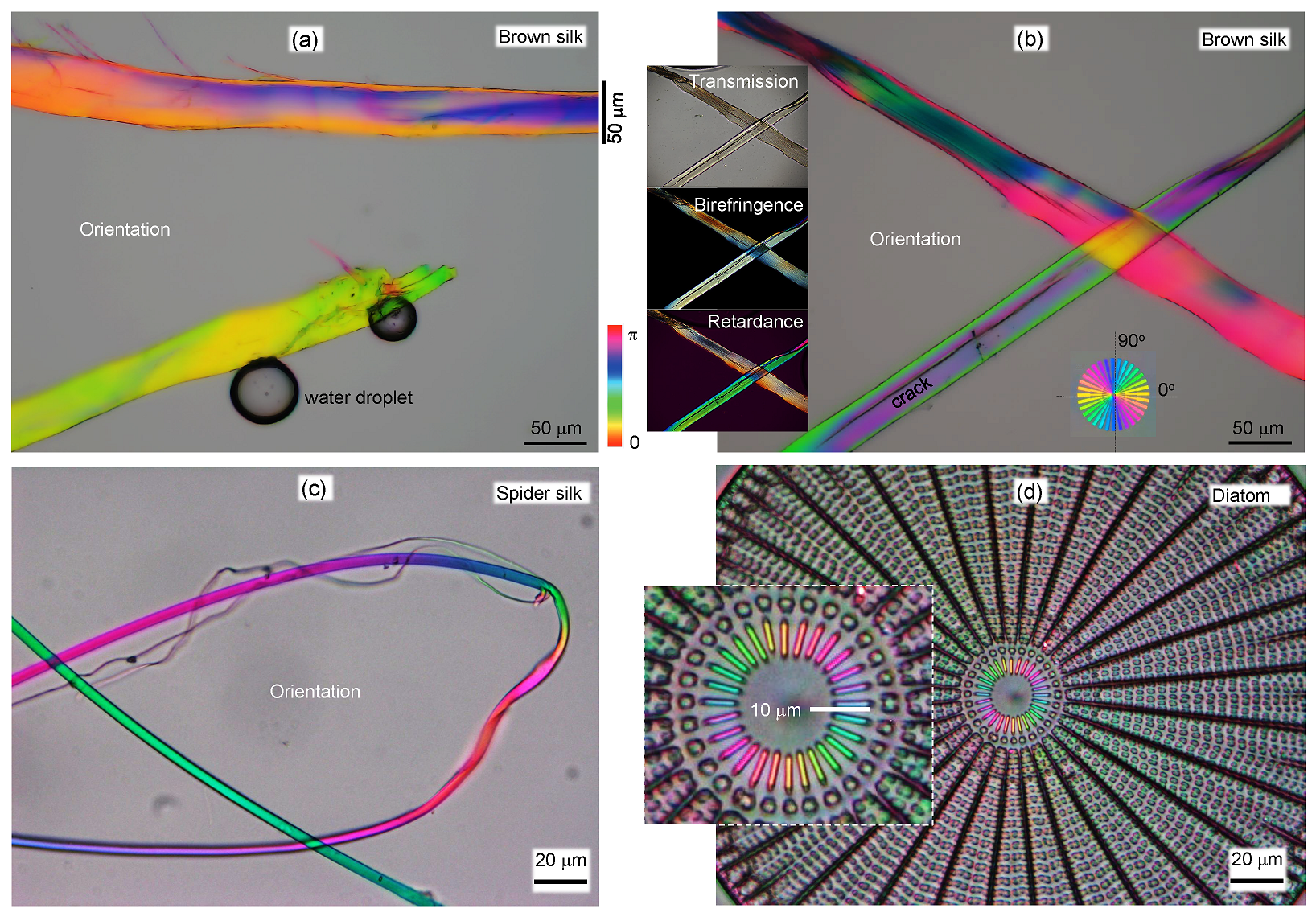 Nanomaterials 13 01894 g0a2
