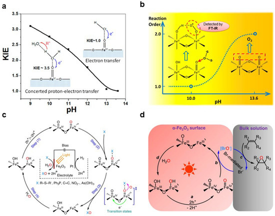 Nanomaterials 13 01919 g007