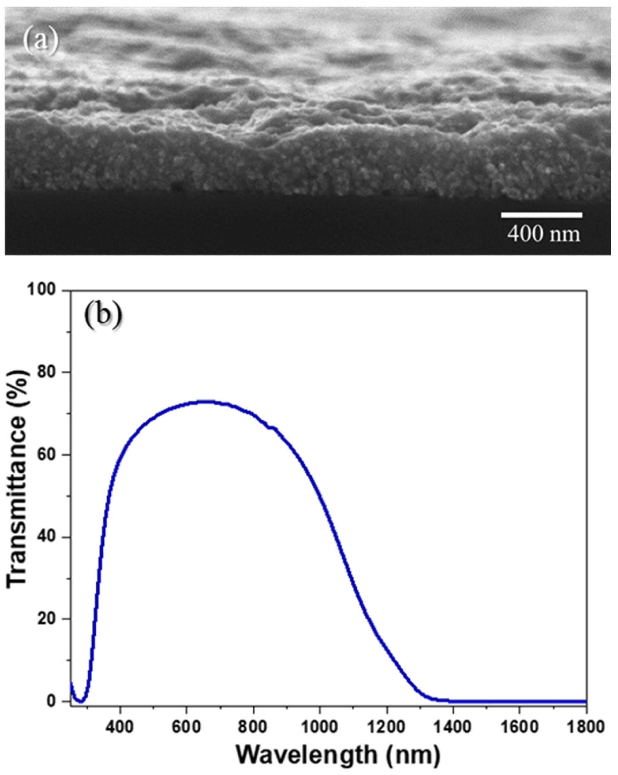 Nanomaterials 13 01920 g004