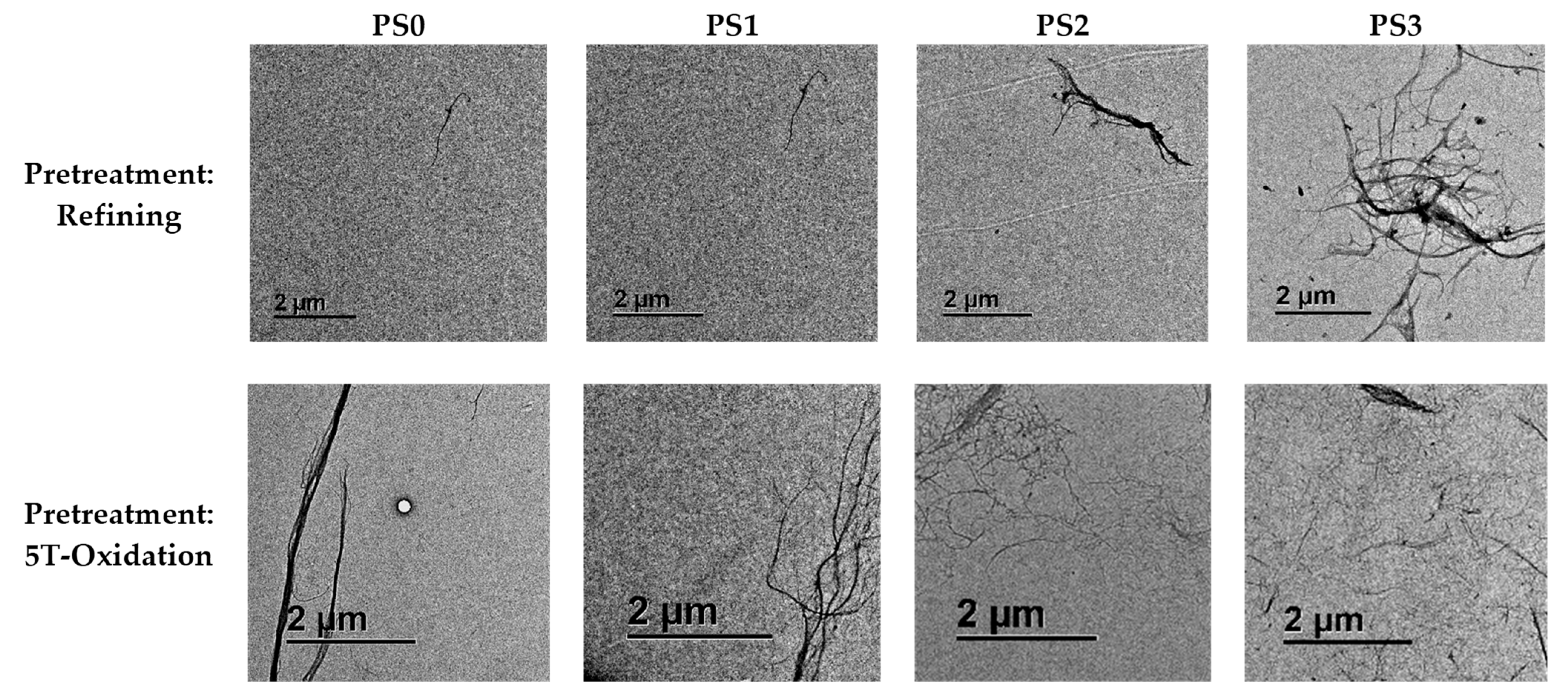 Nanomaterials 13 01931 g005