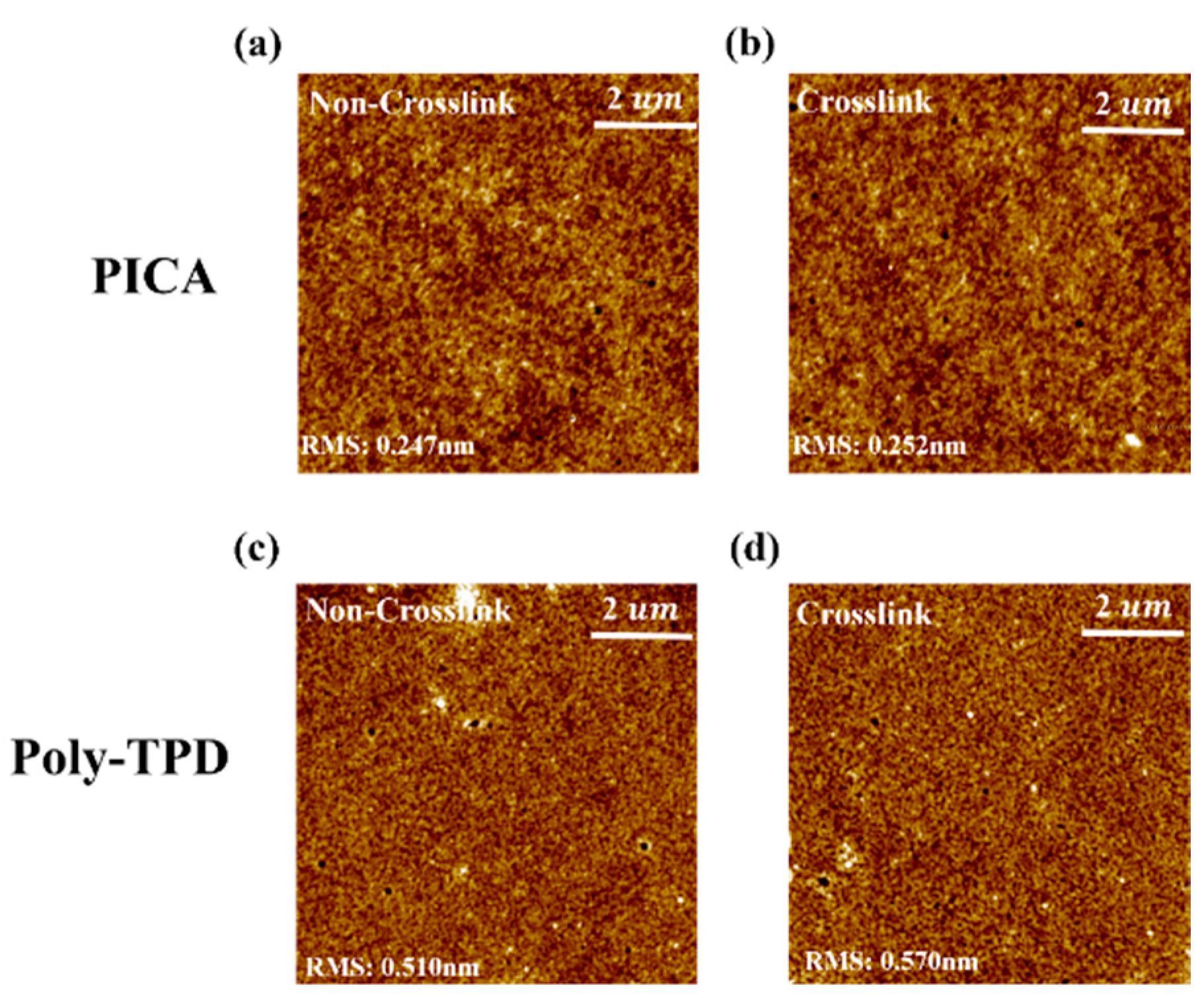Nanomaterials 13 01934 g005