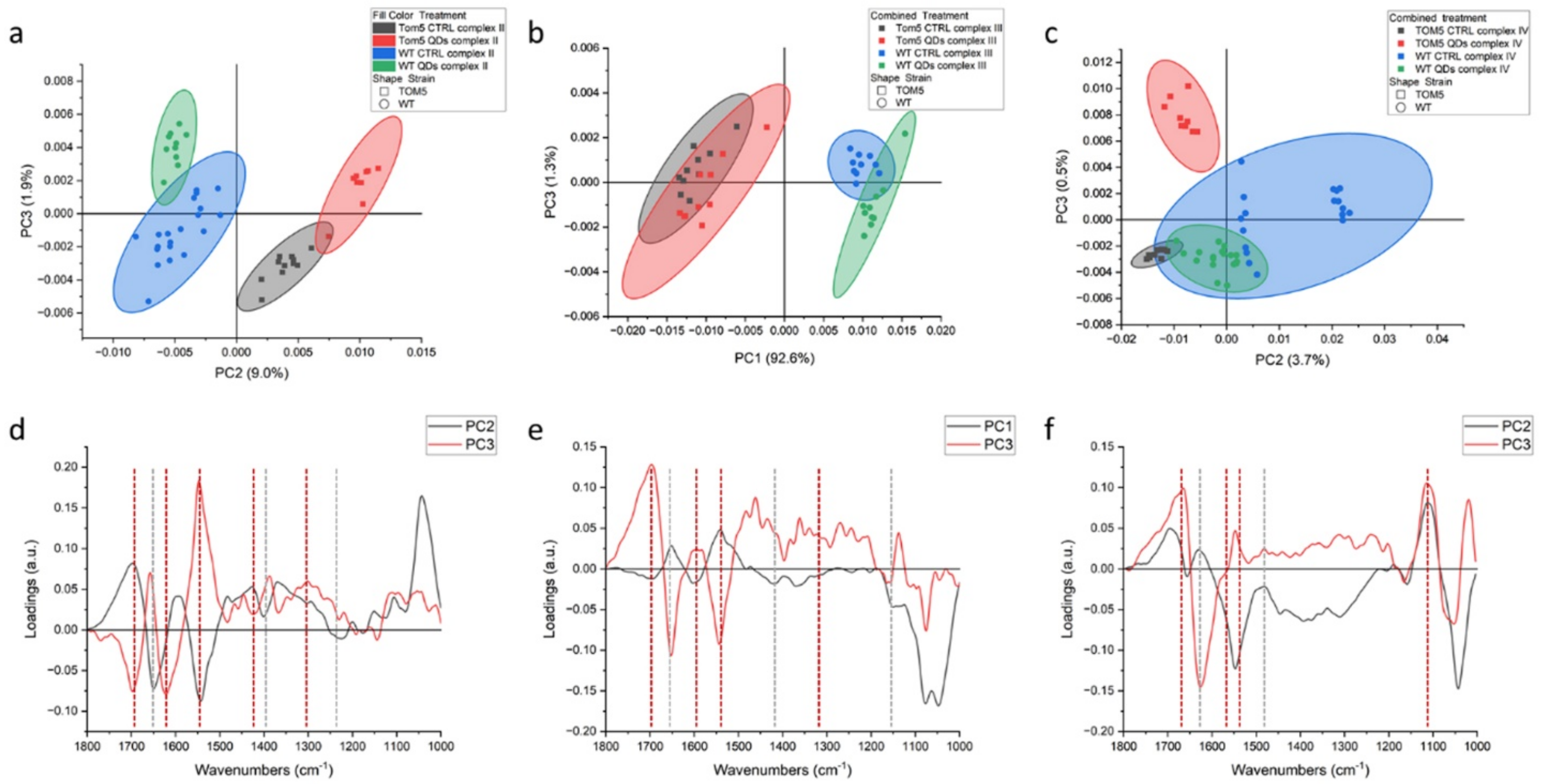 Nanomaterials 13 01944 g001