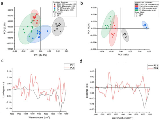 Nanomaterials 13 01944 g002