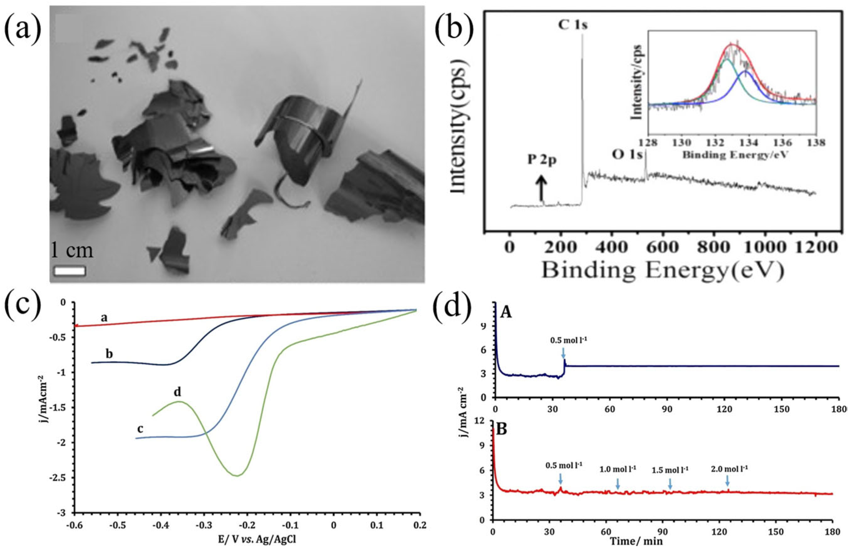 Nanomaterials 13 01945 g009 Nanomaterials 13 01945 g009