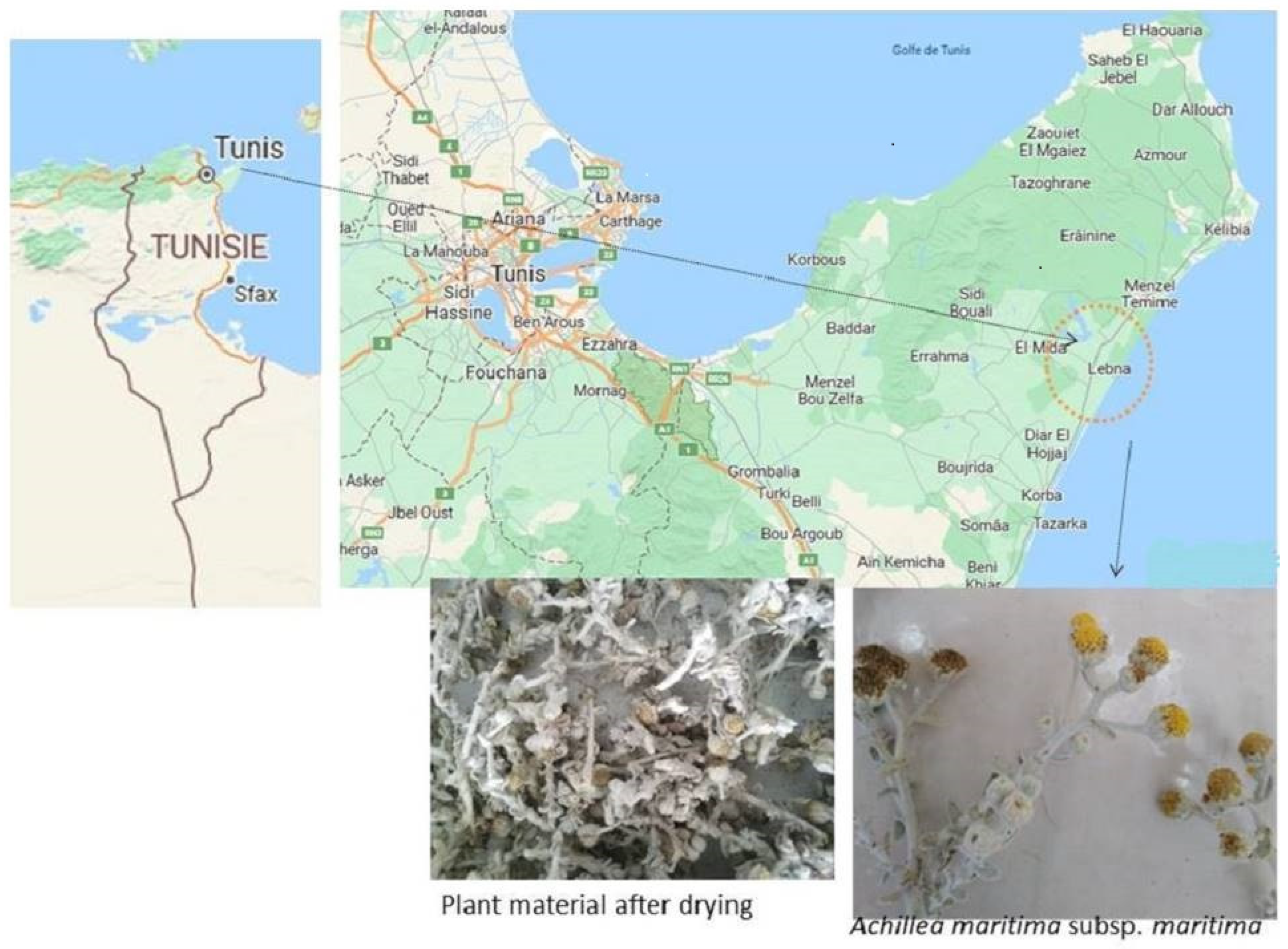 Nanomaterials 13 01964 g001 Nanomaterials 13 01964 g001