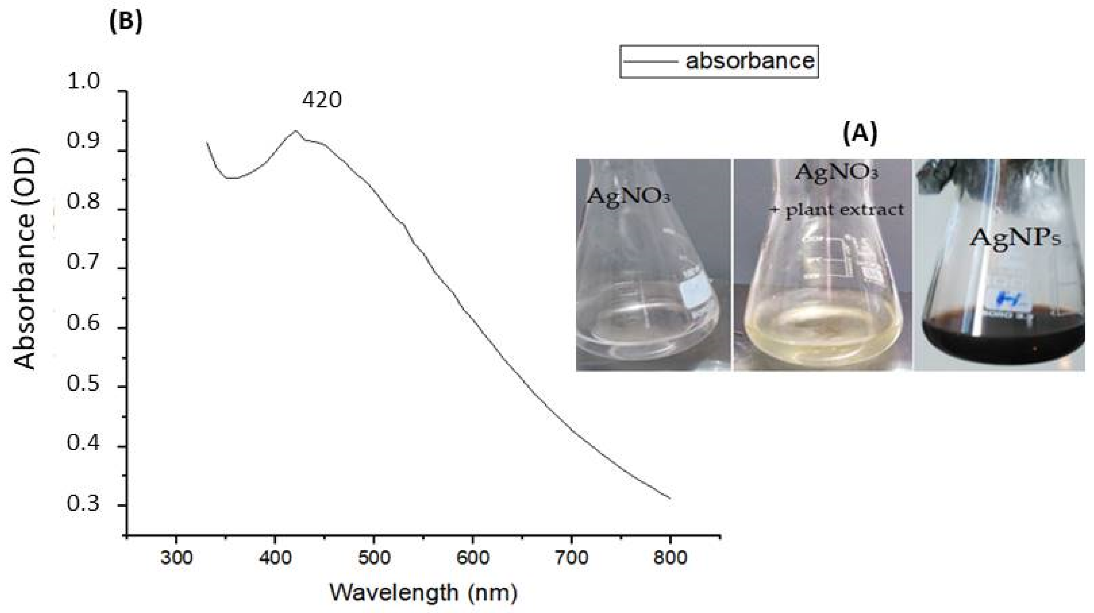 Nanomaterials 13 01964 g002 Nanomaterials 13 01964 g002