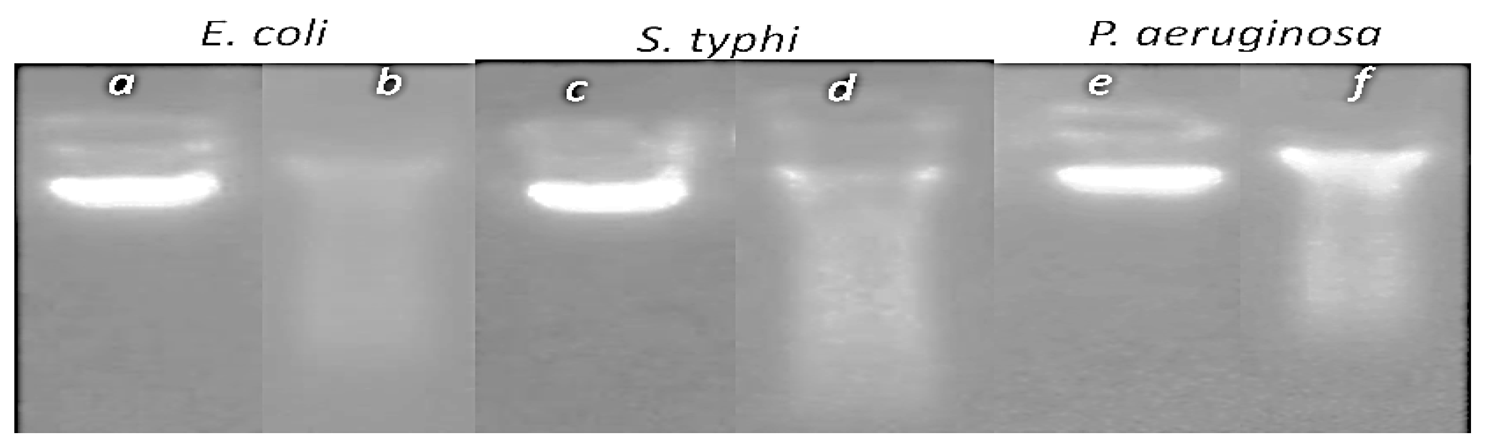Nanomaterials 13 01964 g009 Nanomaterials 13 01964 g009