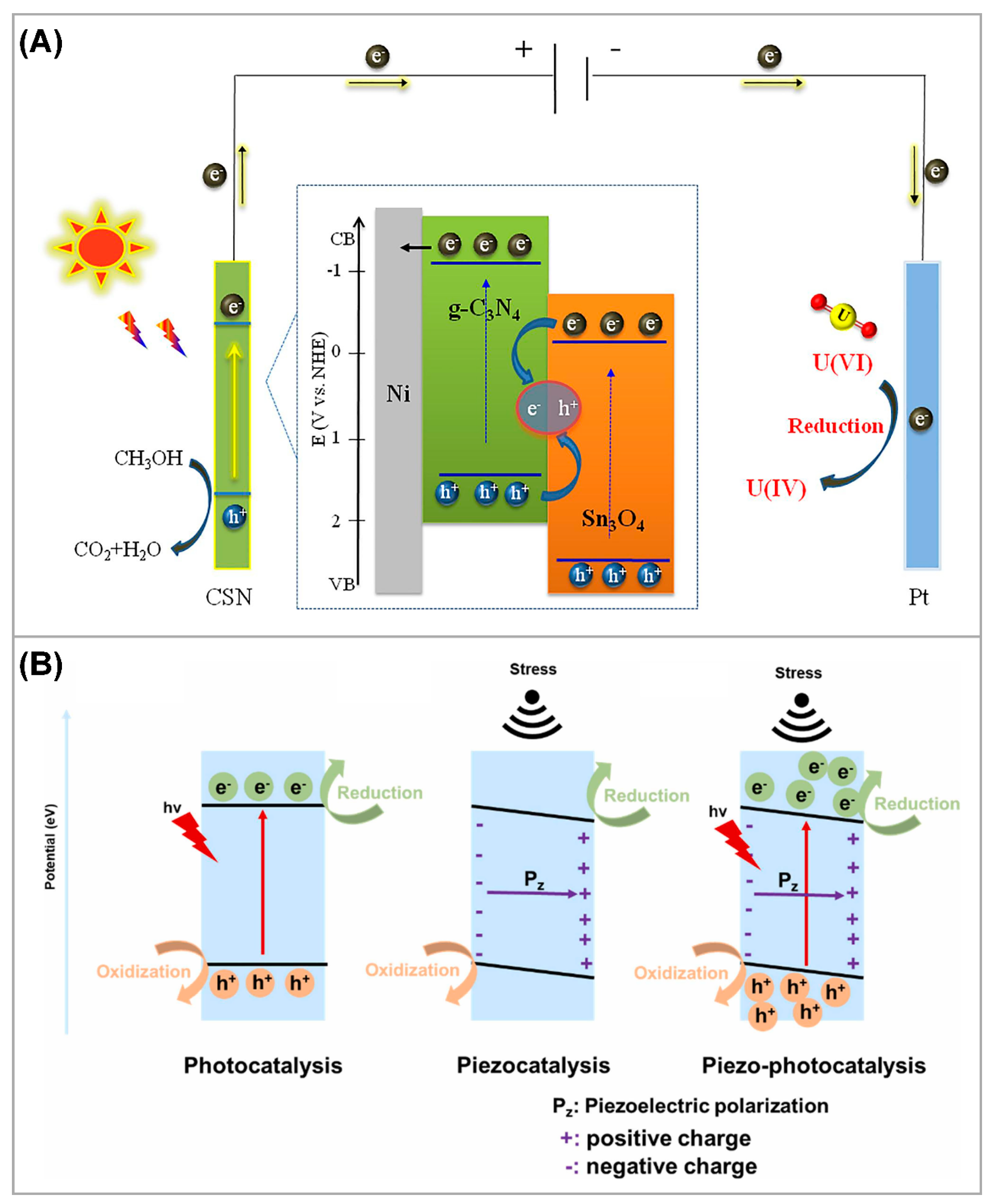 Nanomaterials 13 02005 g011 Nanomaterials 13 02005 g011