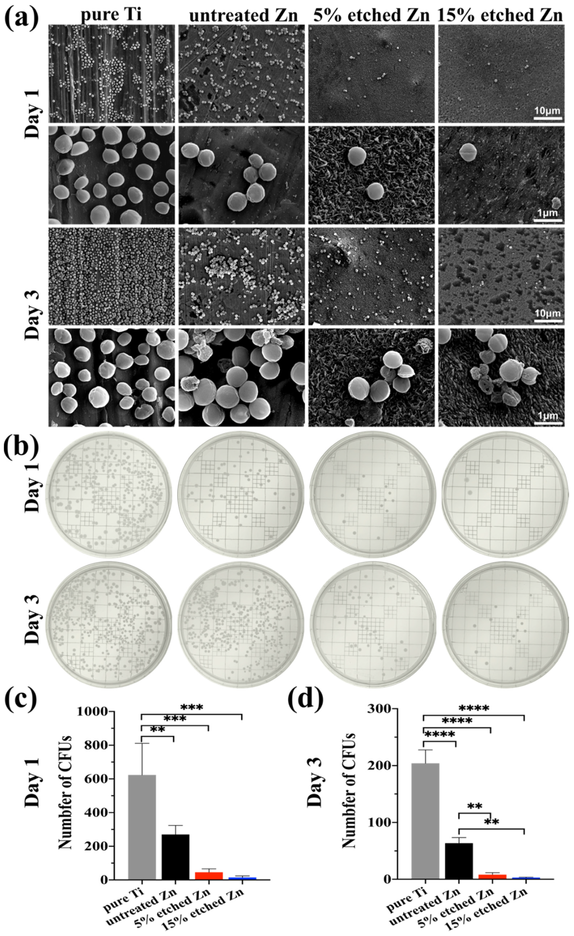 Nanomaterials 13 02022 g006