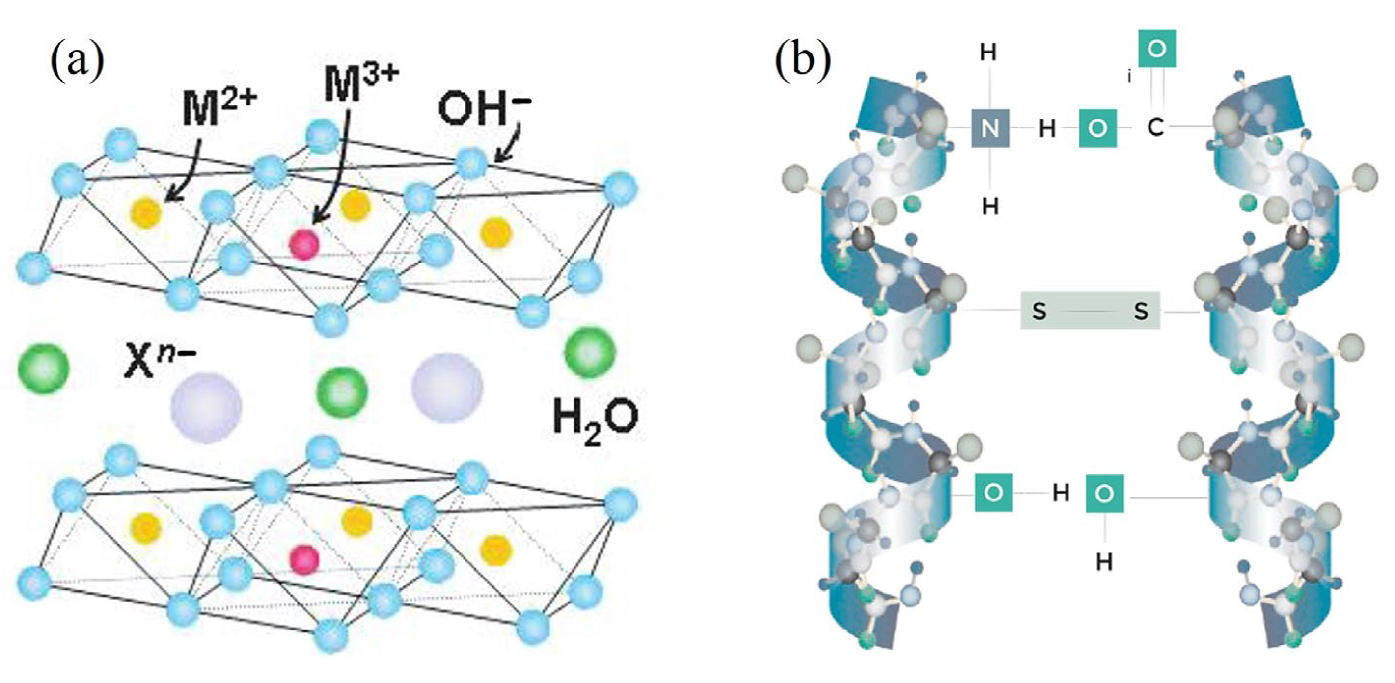 Nanomaterials 13 02029 g001
