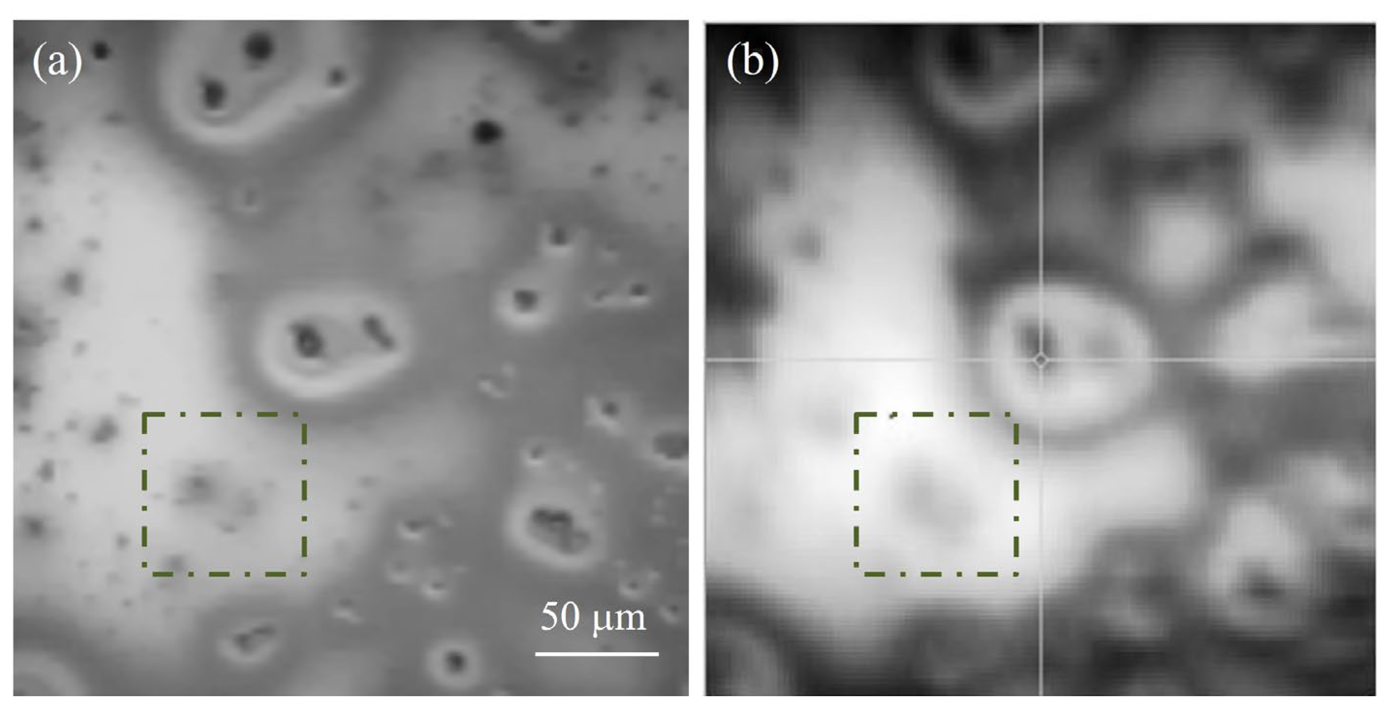 Nanomaterials 13 02029 g007