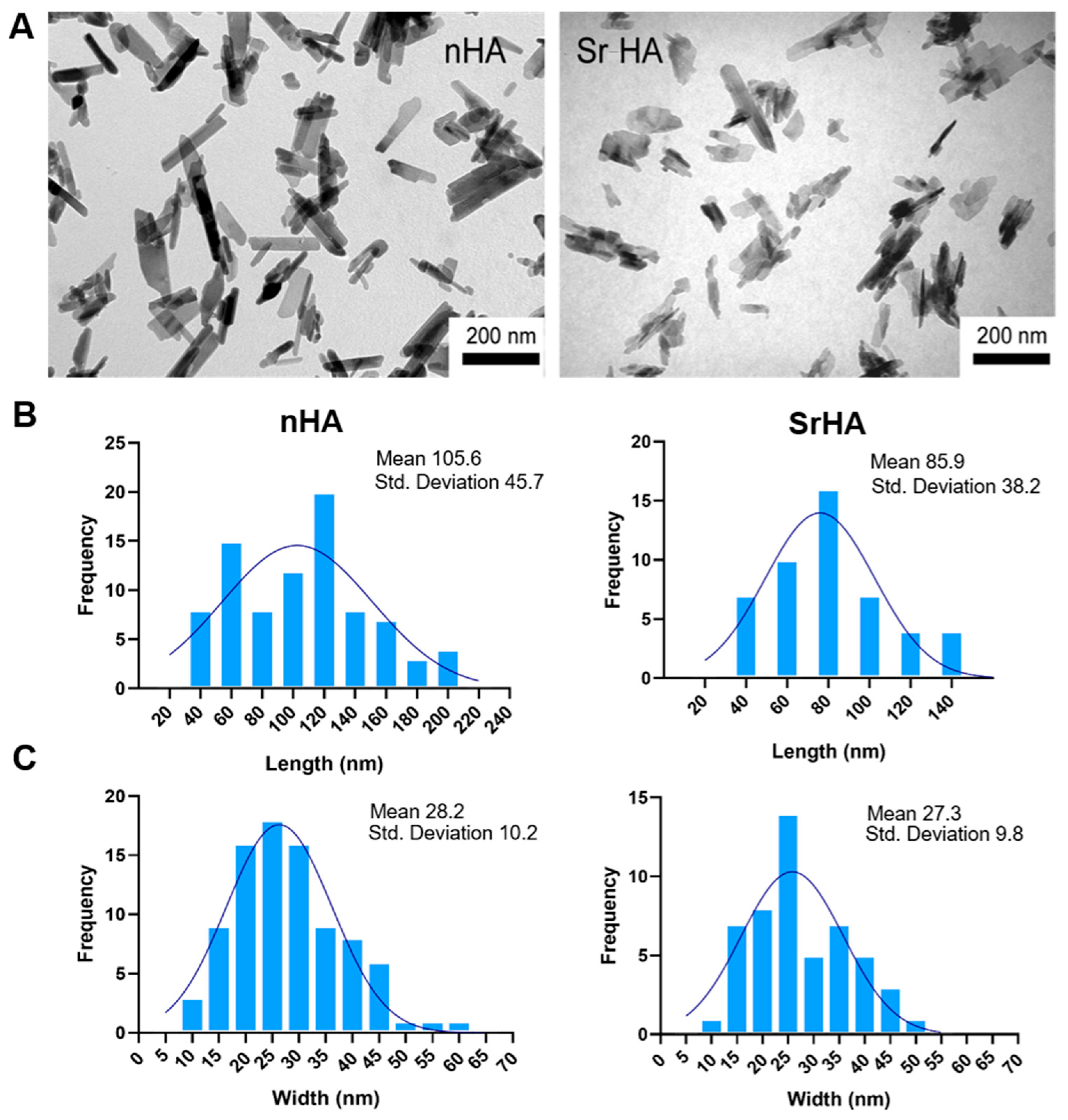 Nanomaterials 13 02040 g002
