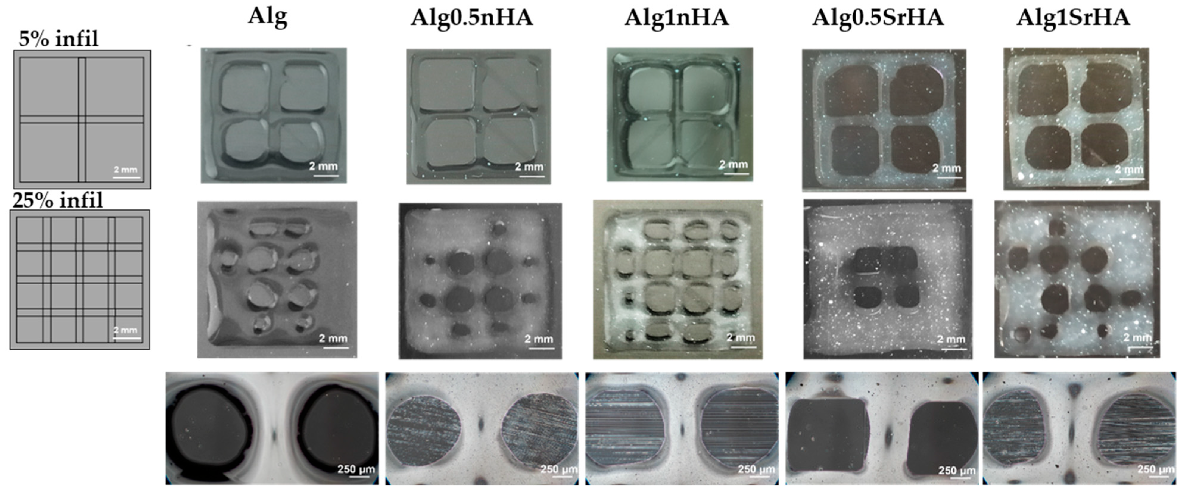 Nanomaterials 13 02040 g003