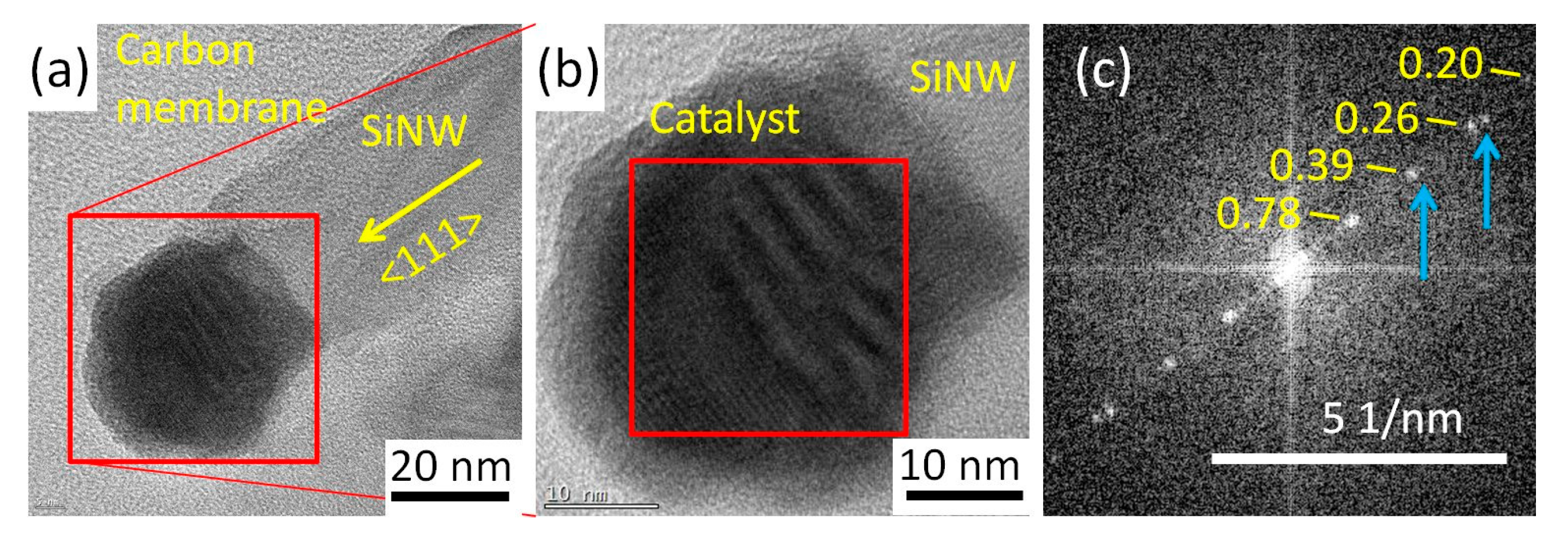 Nanomaterials 13 02061 g002
