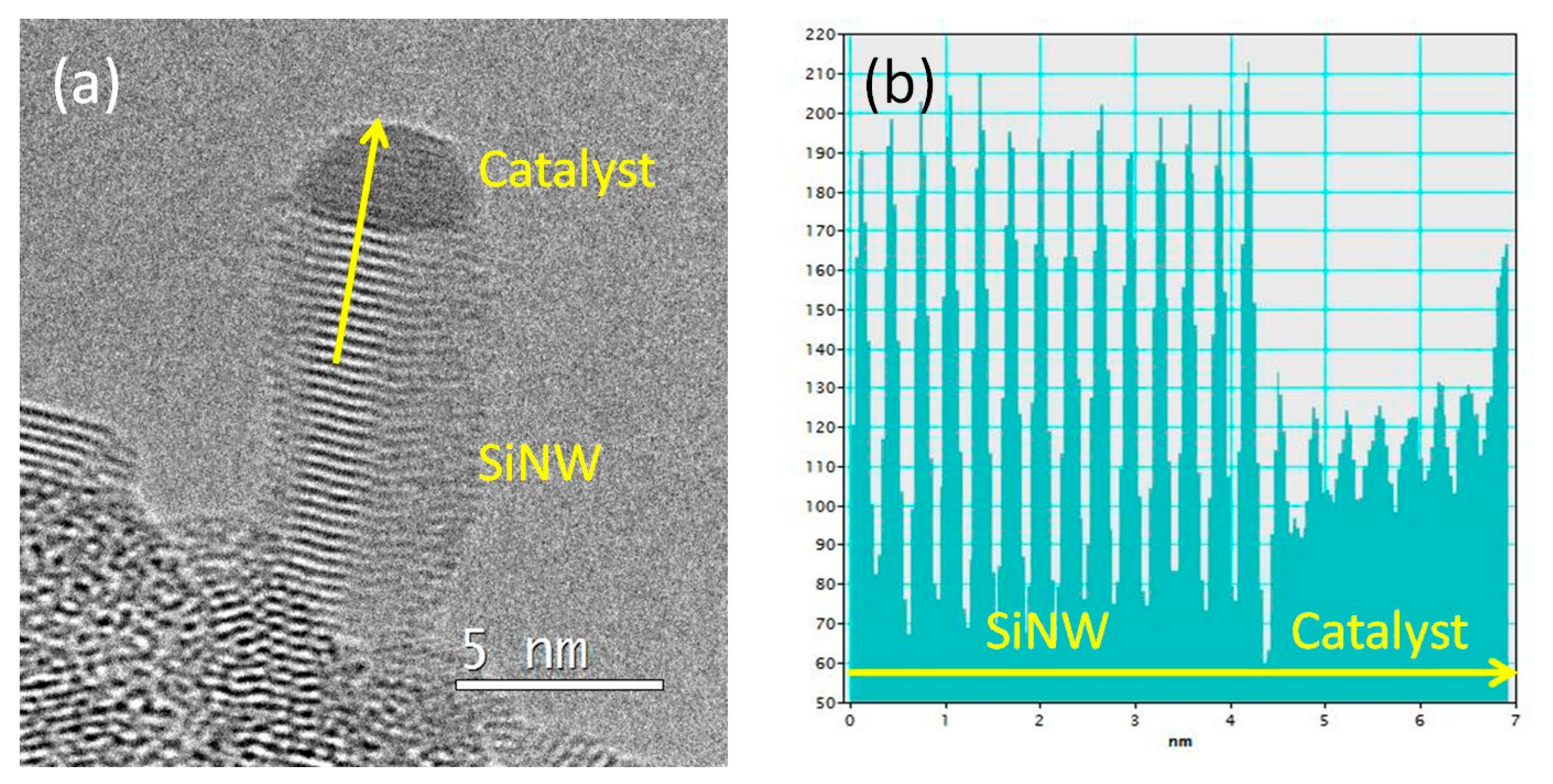Nanomaterials 13 02061 g003