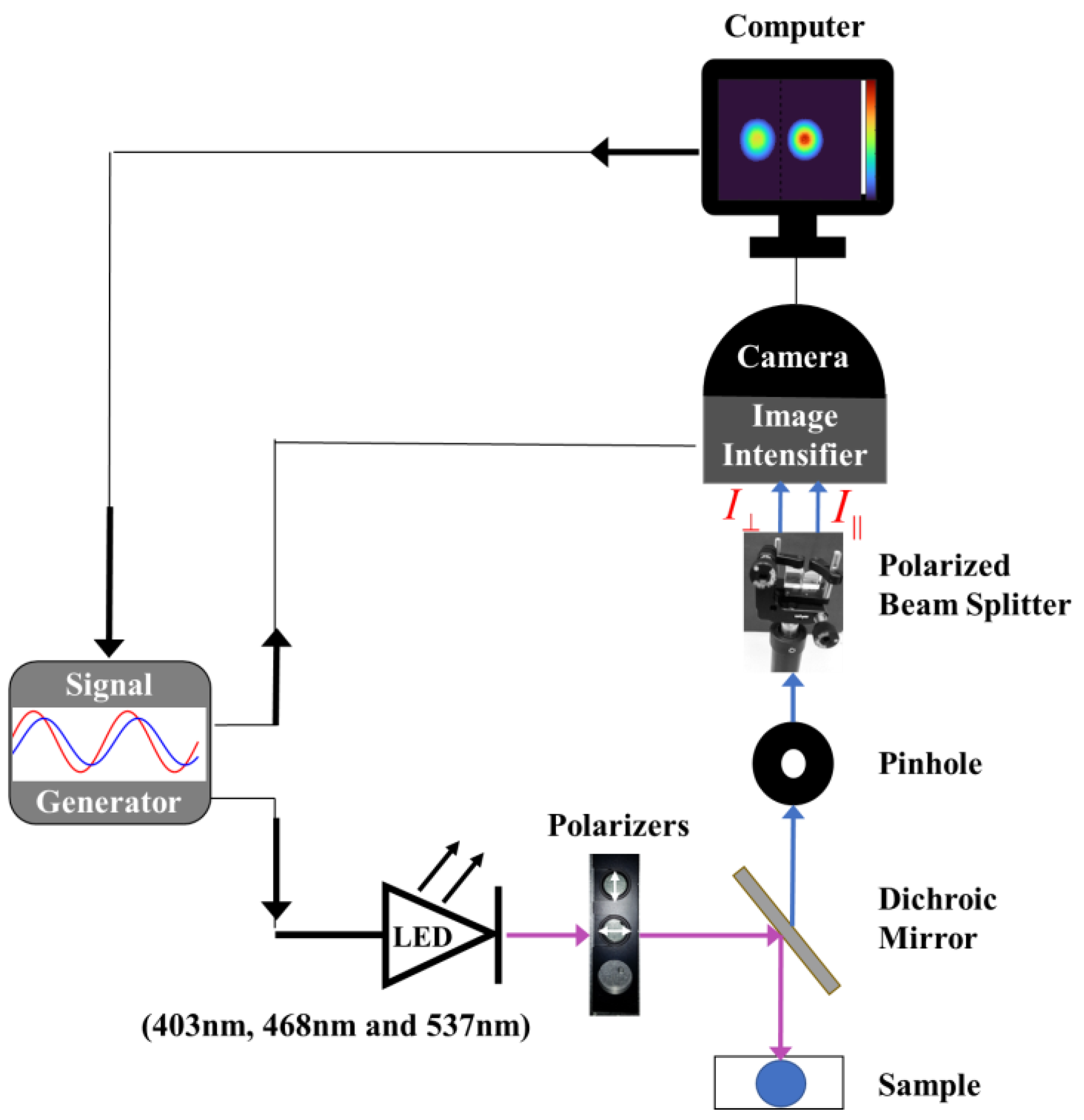 Nanomaterials 13 02068 g002