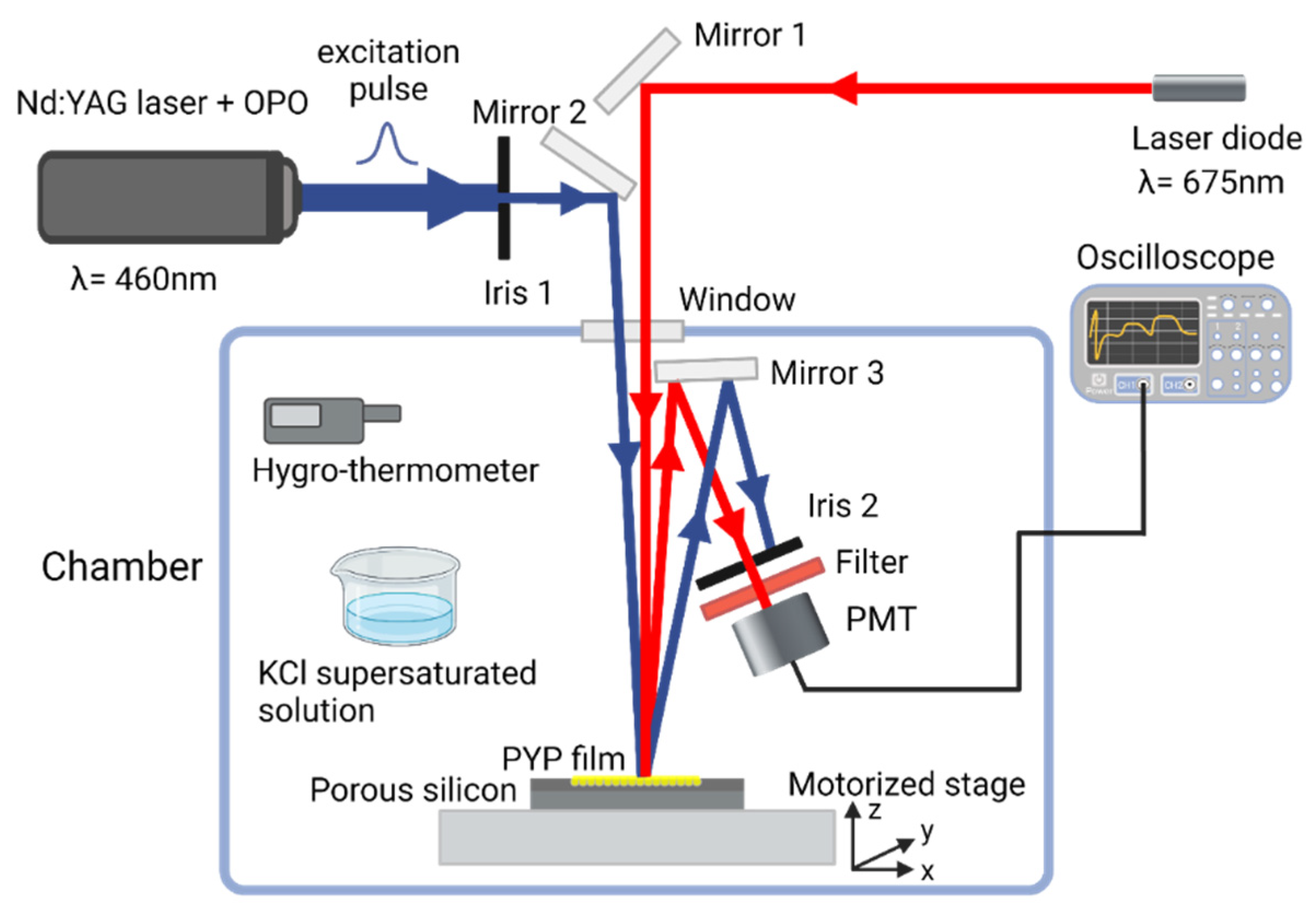 Nanomaterials 13 02070 g003