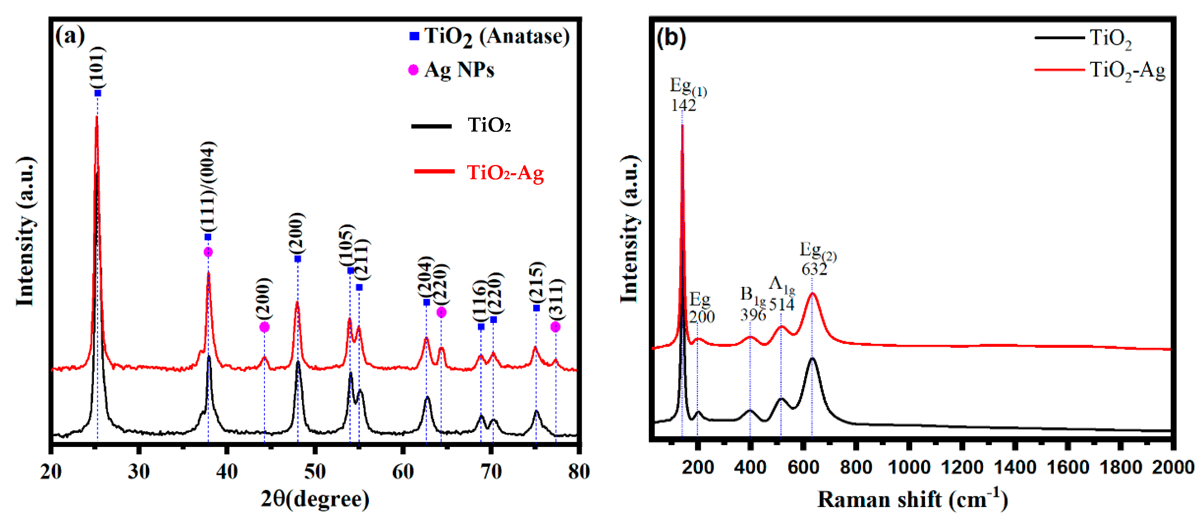 Nanomaterials 13 02076 g001 Nanomaterials 13 02076 g001