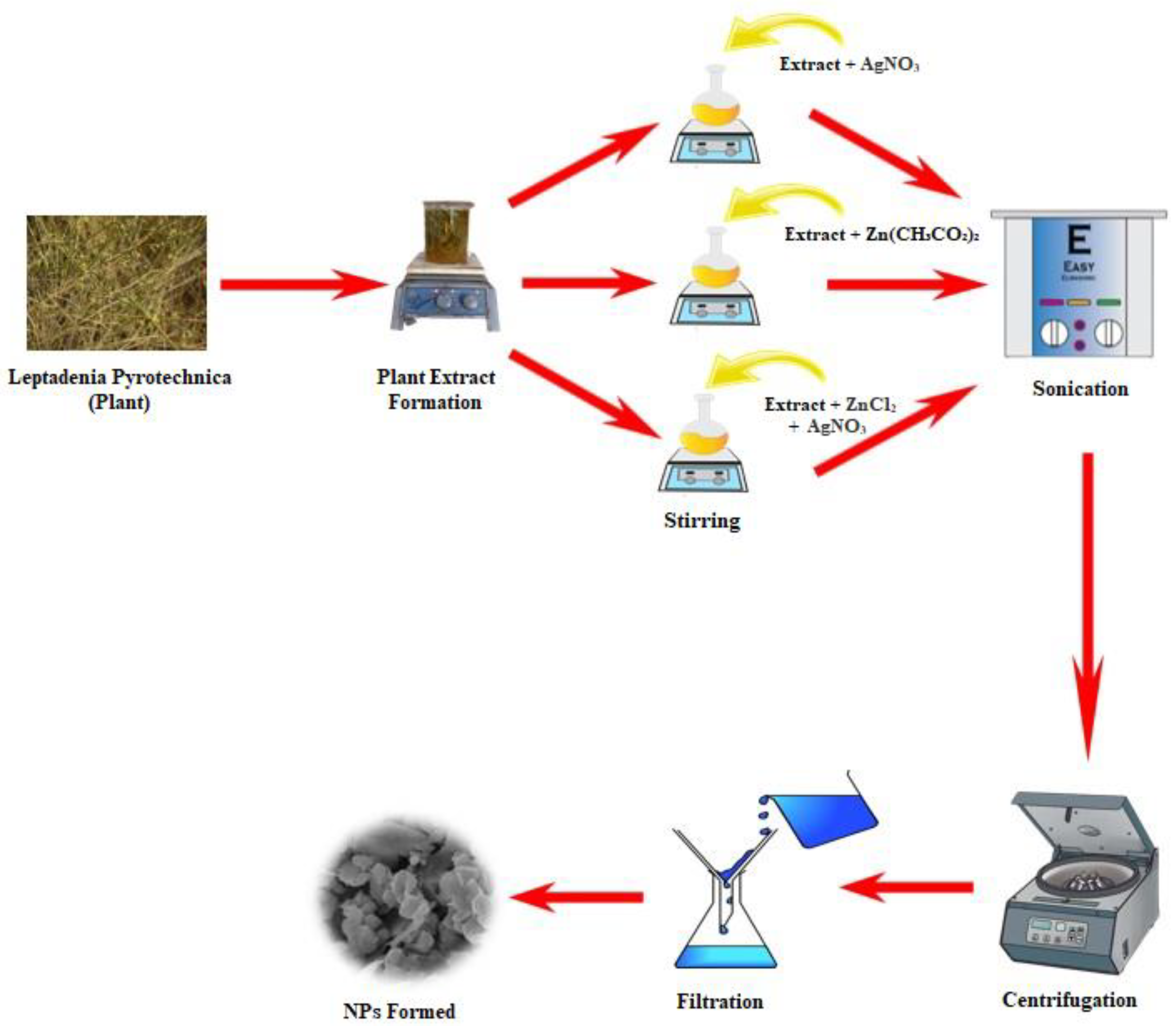 Nanomaterials 13 02079 g001