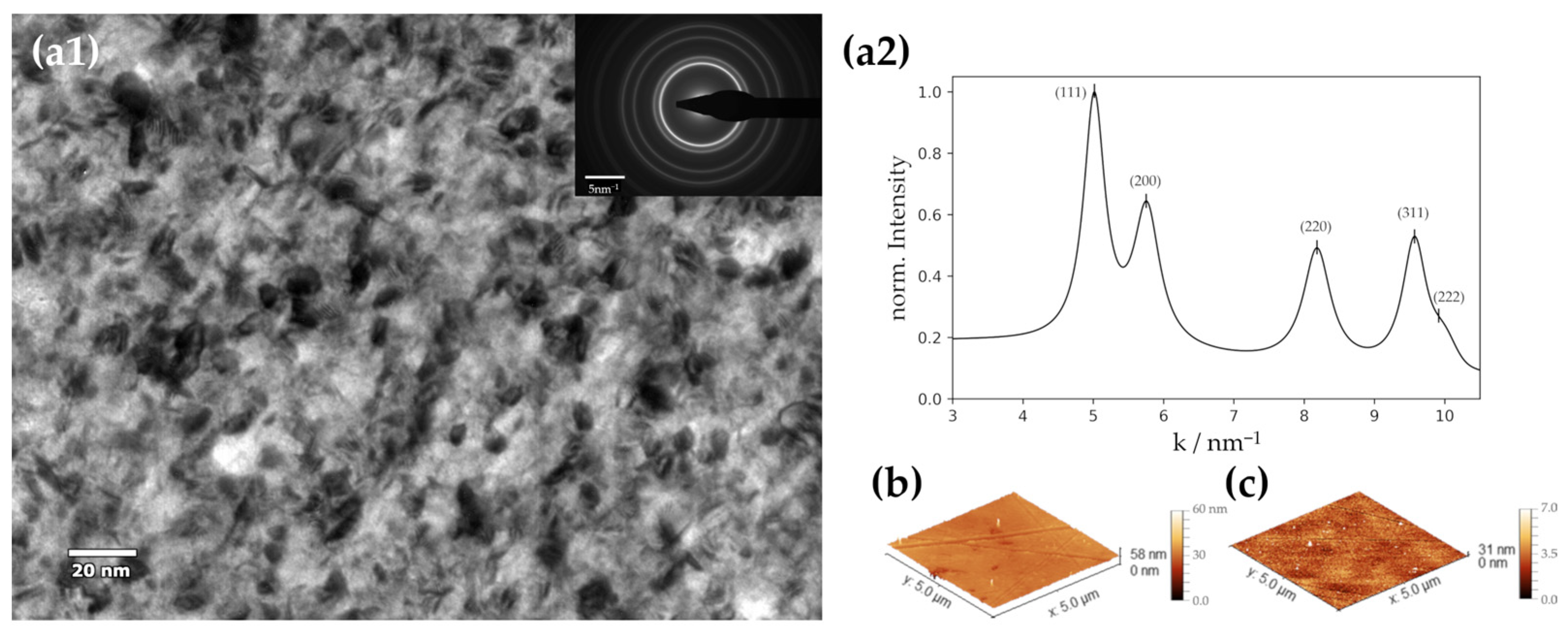 Nanomaterials 13 02085 g001