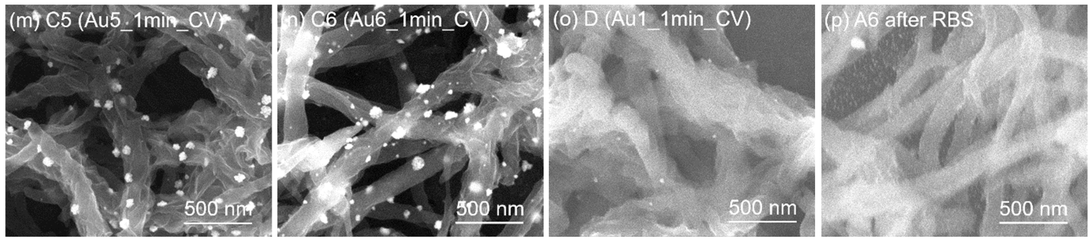 Nanomaterials 13 02089 g004b