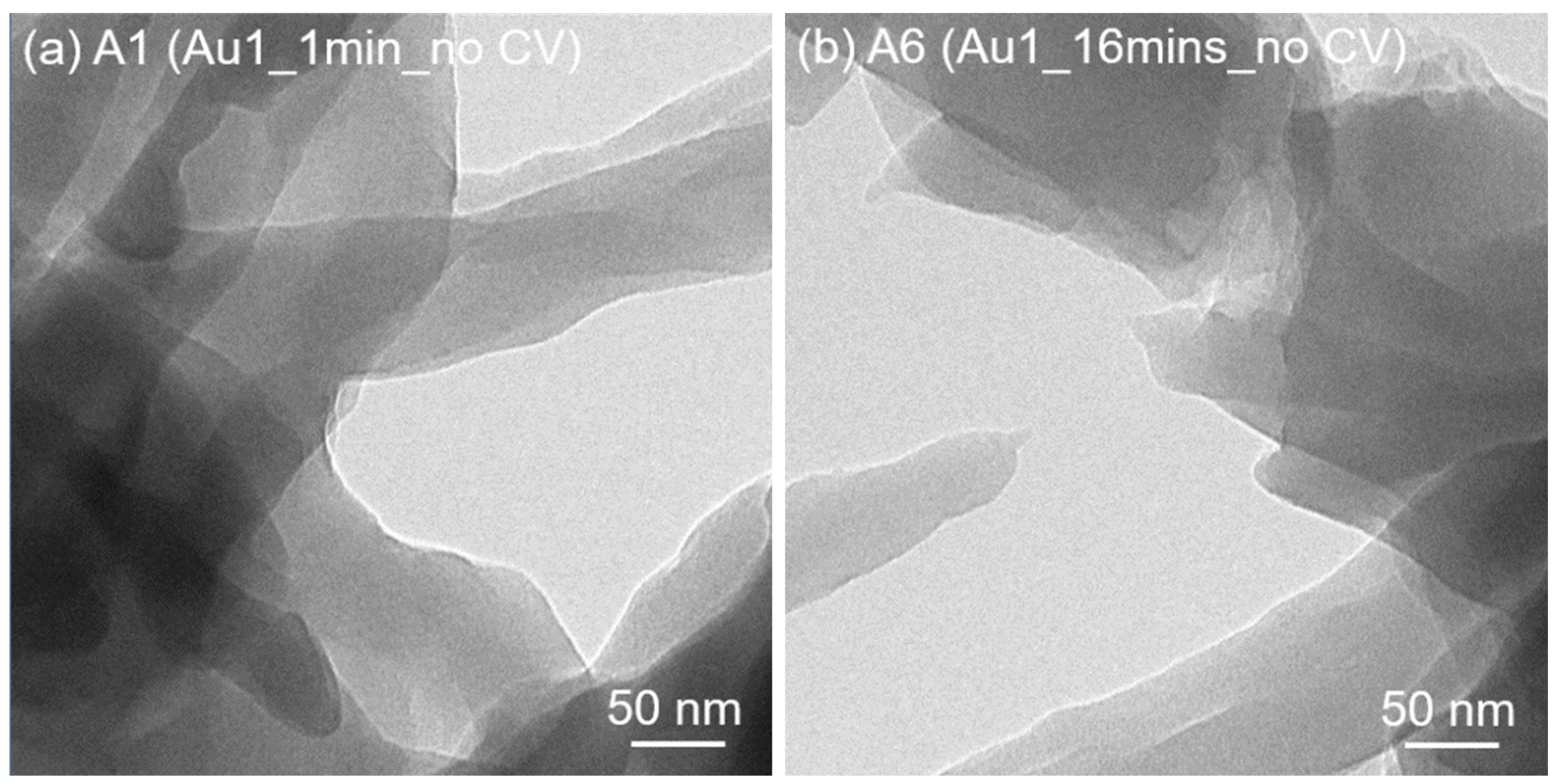 Nanomaterials 13 02089 g006a
