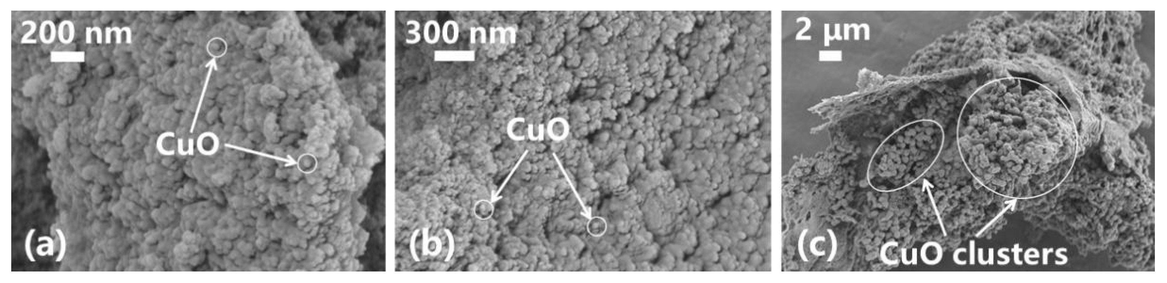 Nanomaterials 13 02092 g013