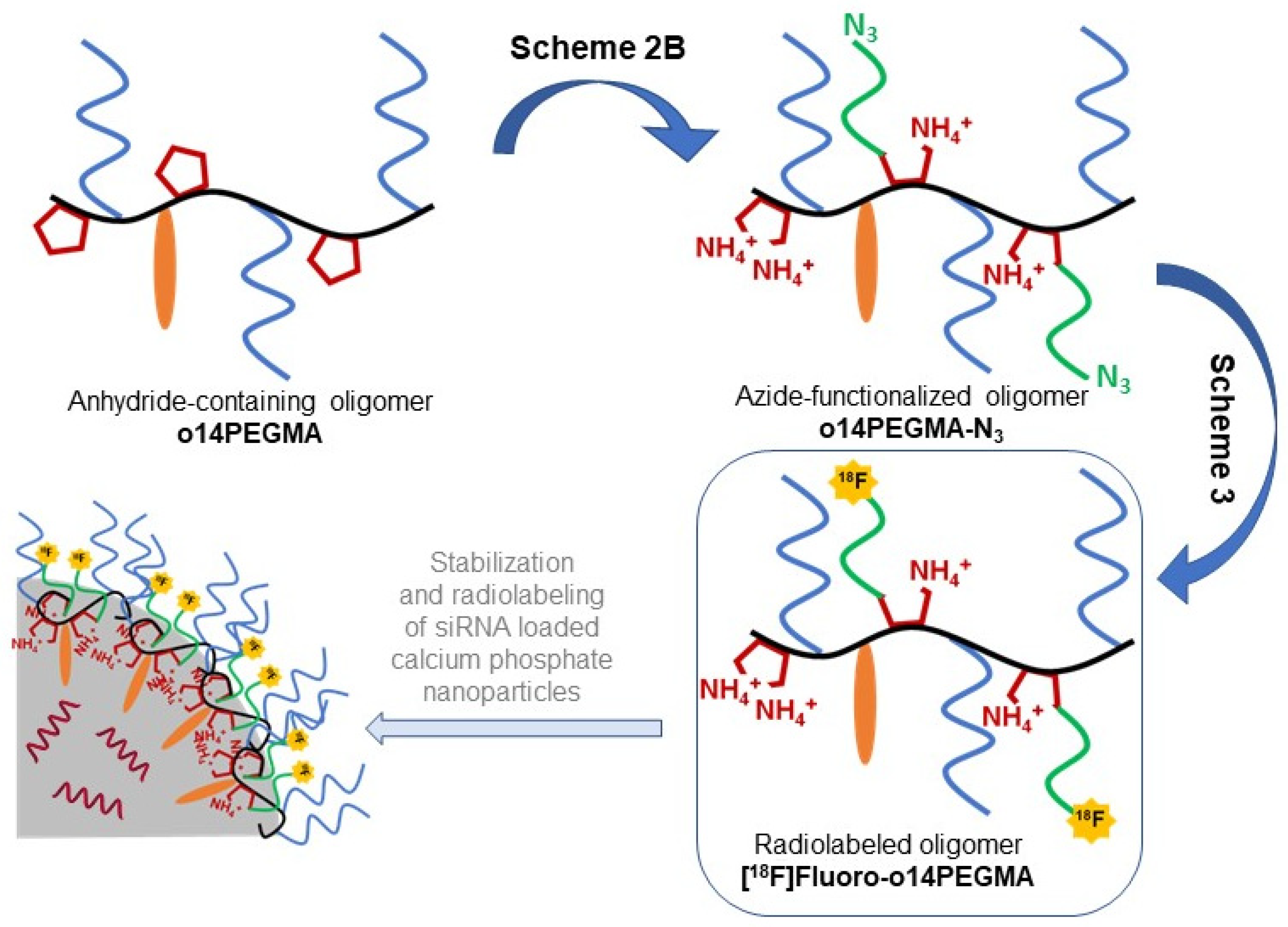 Nanomaterials 13 02095 sch001