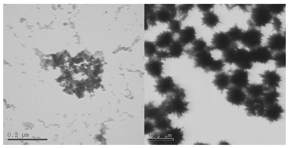 Nanomaterials 13 02098 g004