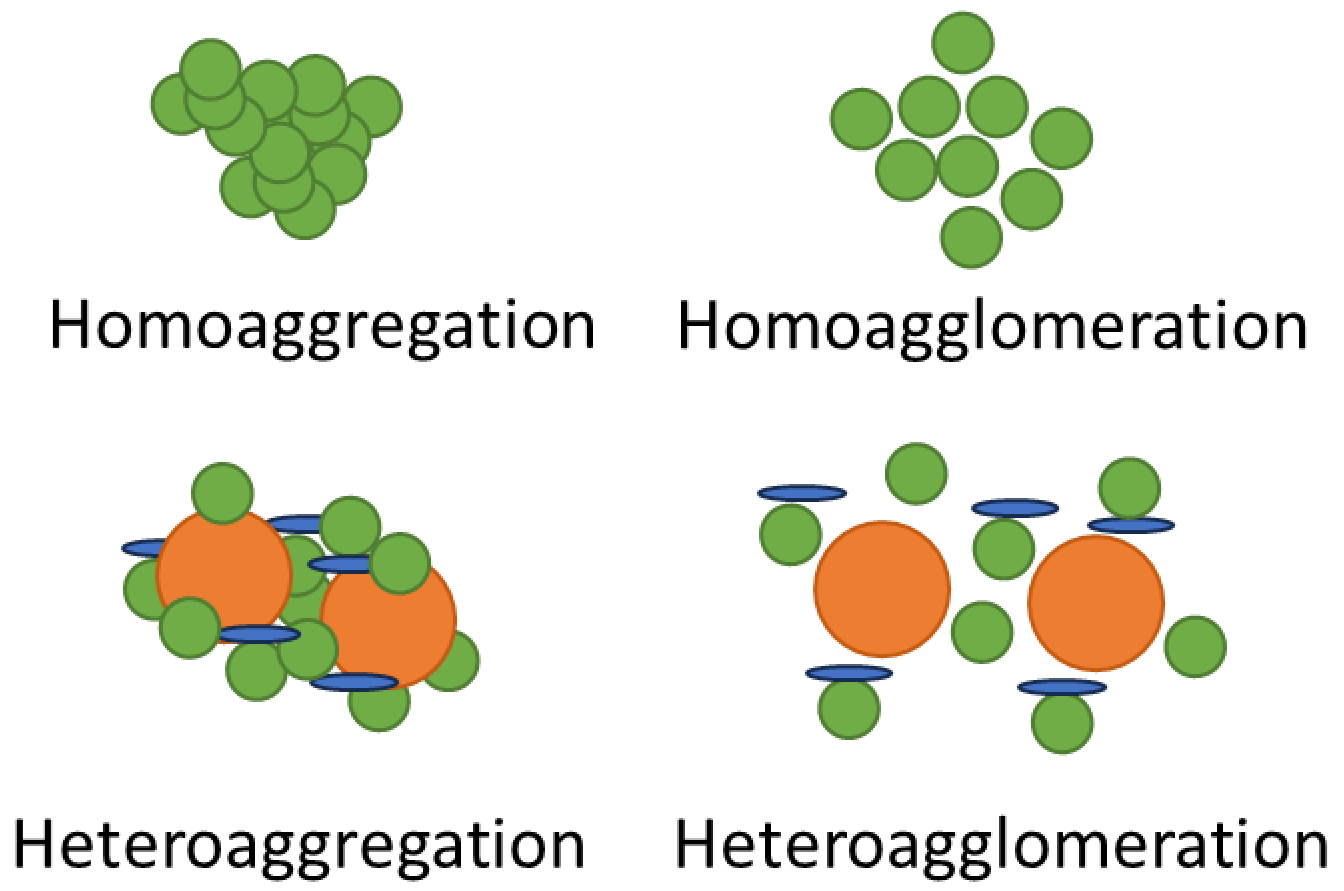 Nanomaterials 13 02098 g005