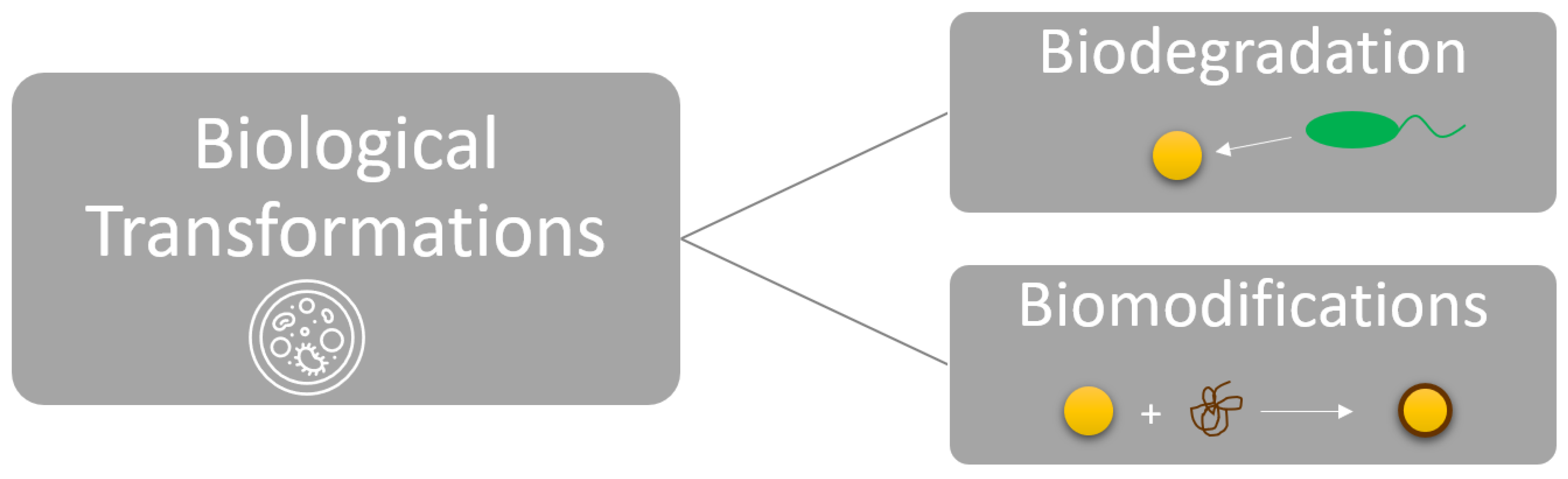 Nanomaterials 13 02098 g006