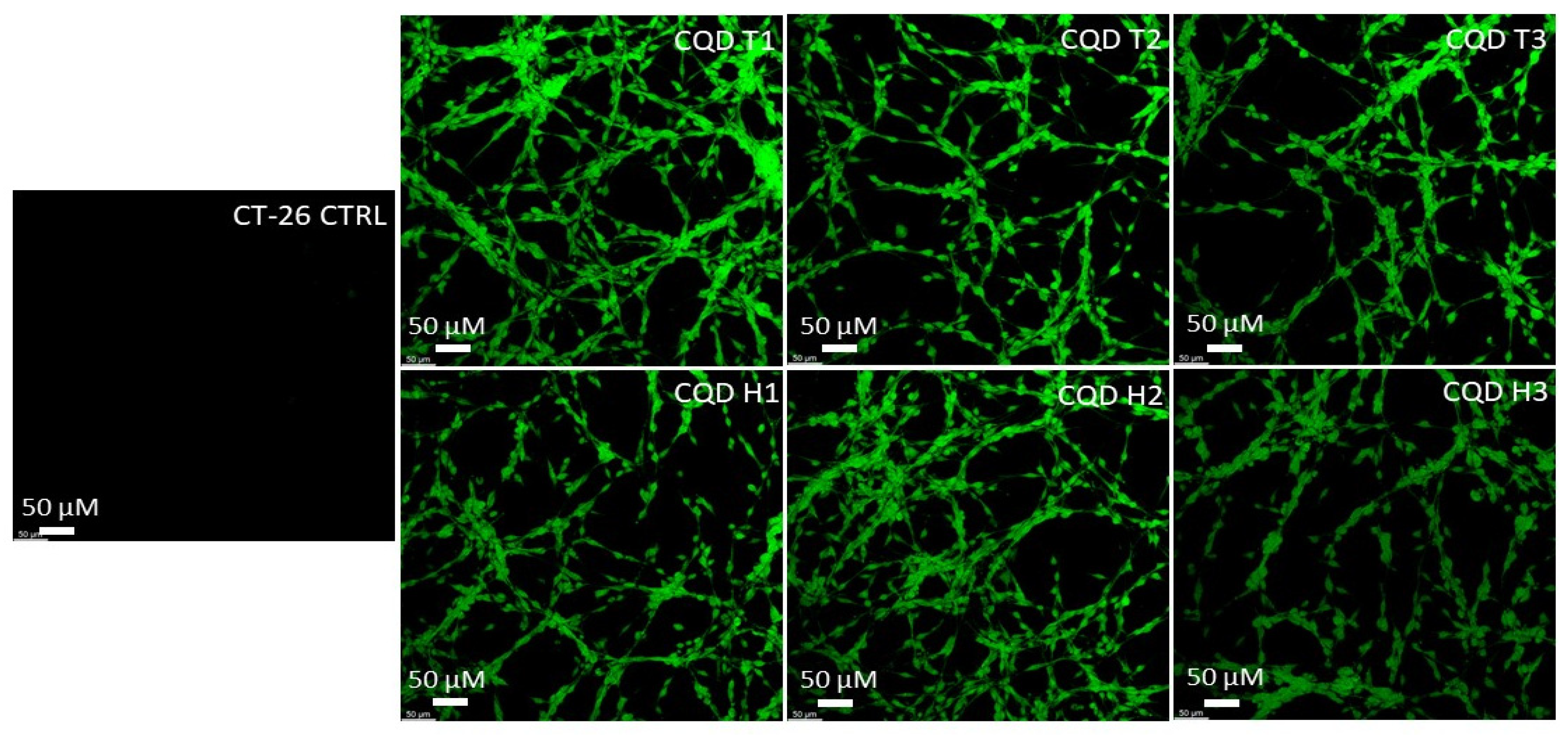 Nanomaterials 13 02103 g005