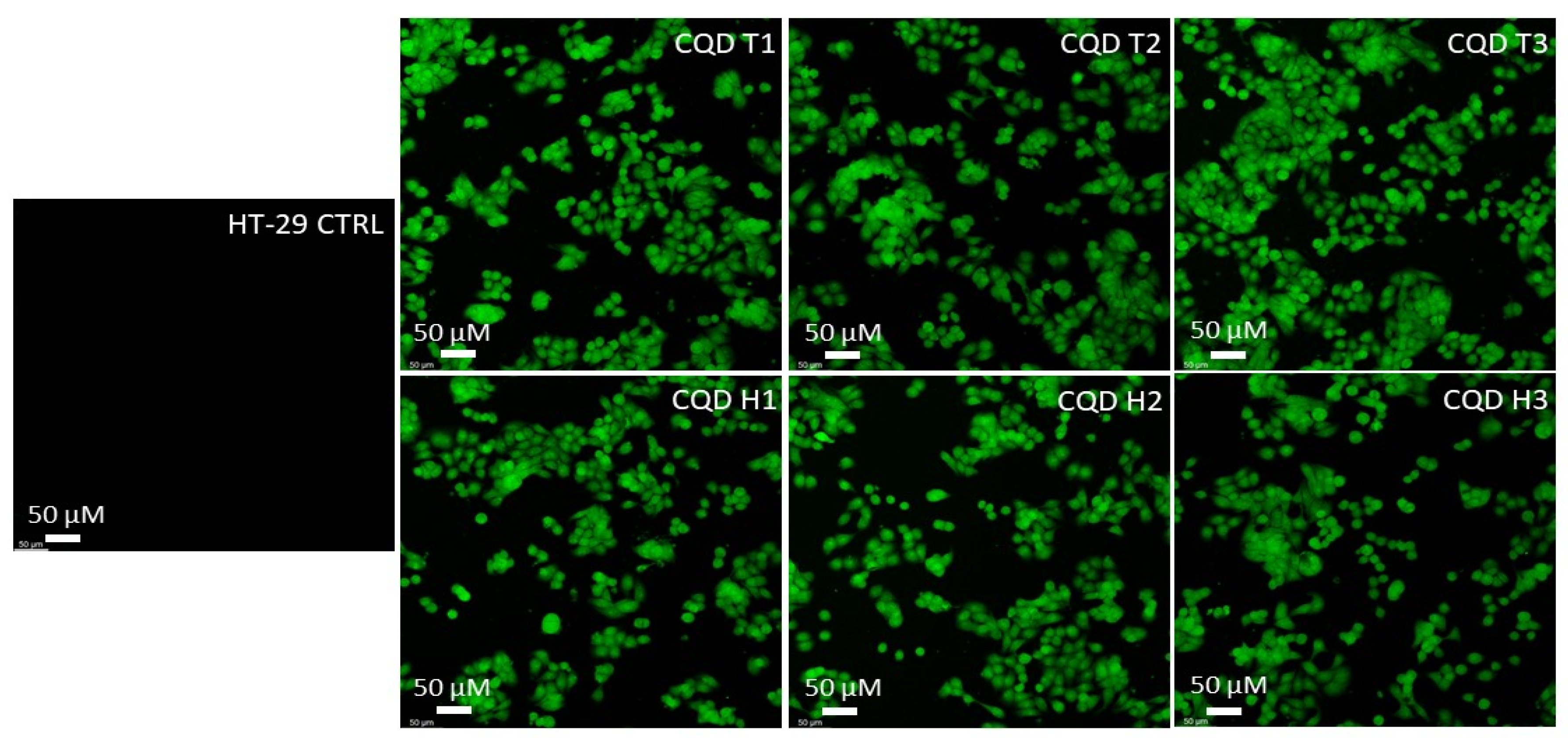 Nanomaterials 13 02103 g006