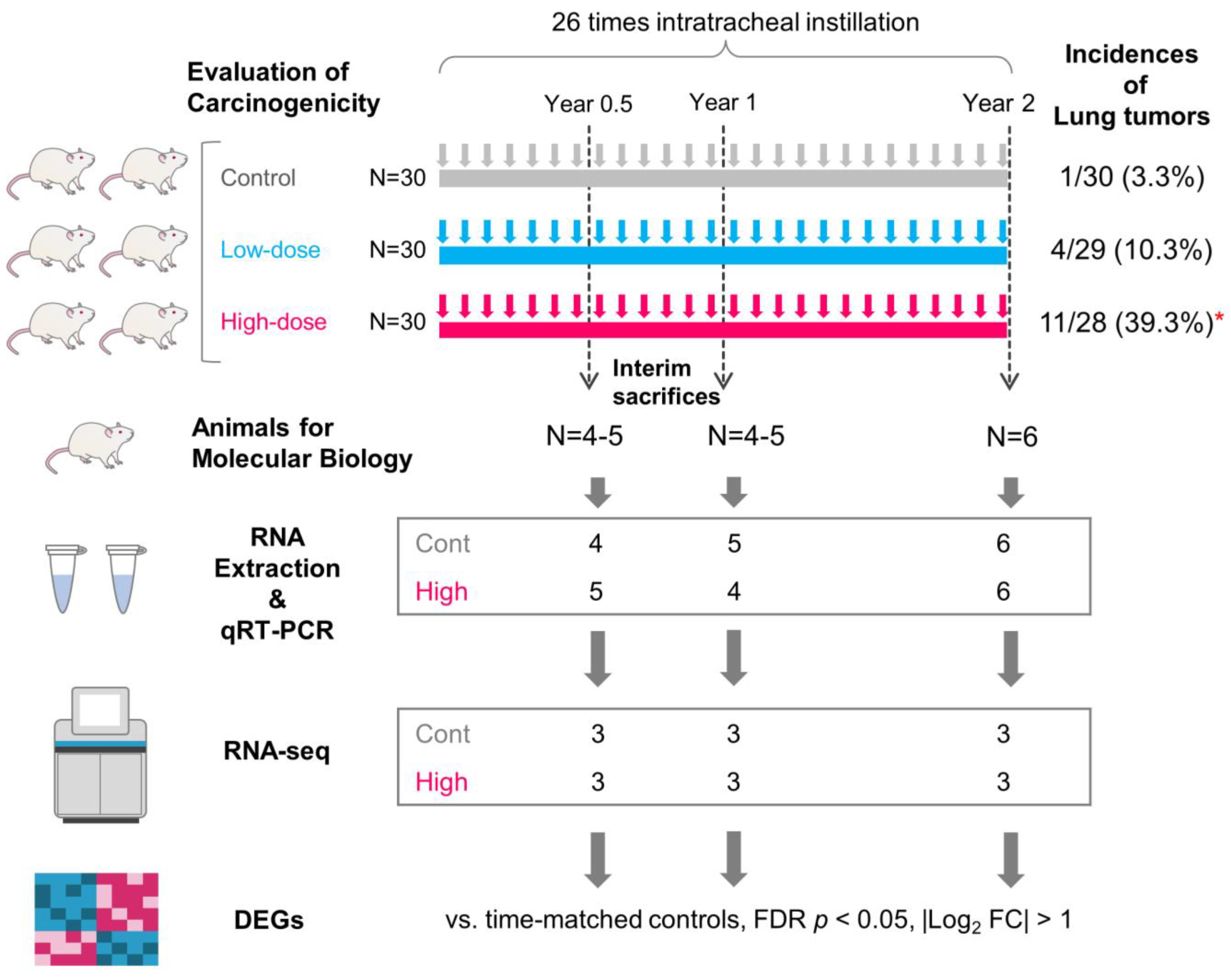 Nanomaterials 13 02105 g001 Nanomaterials 13 02105 g001