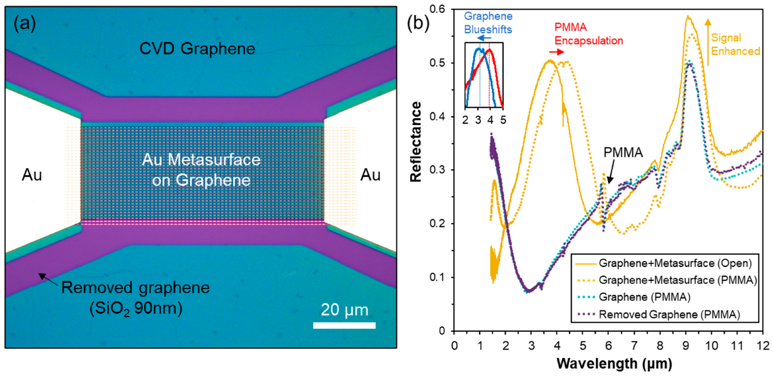 Nanomaterials 13 02113 g003