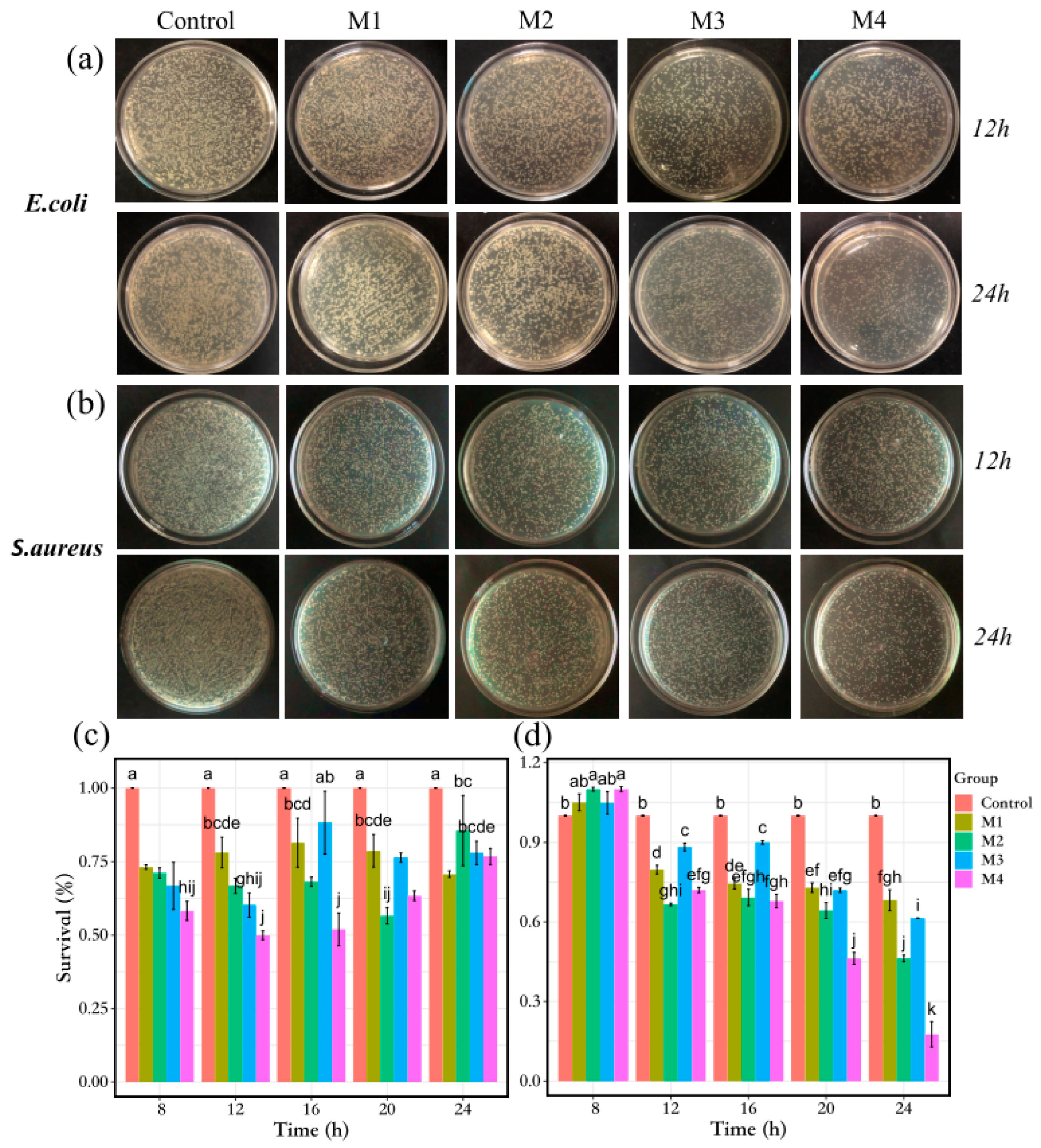 Nanomaterials 13 02121 g007