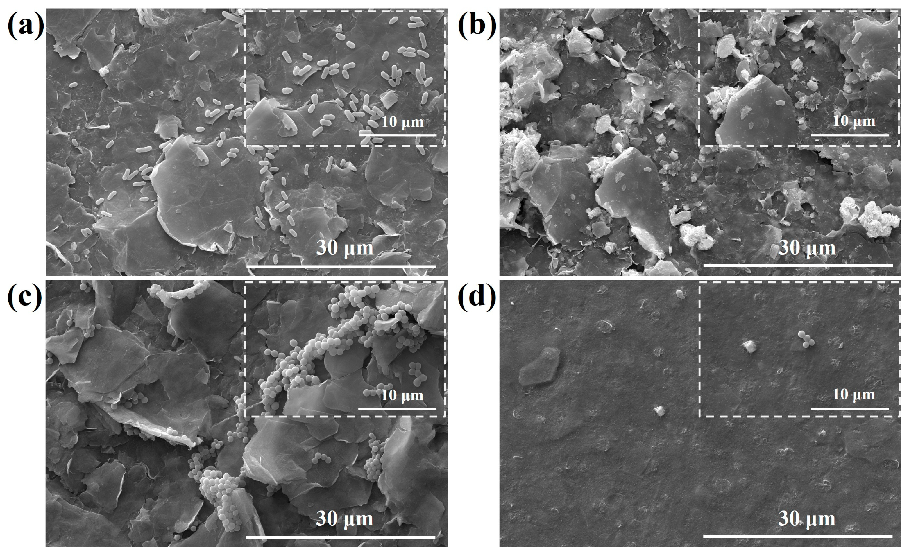 Nanomaterials 13 02121 g009
