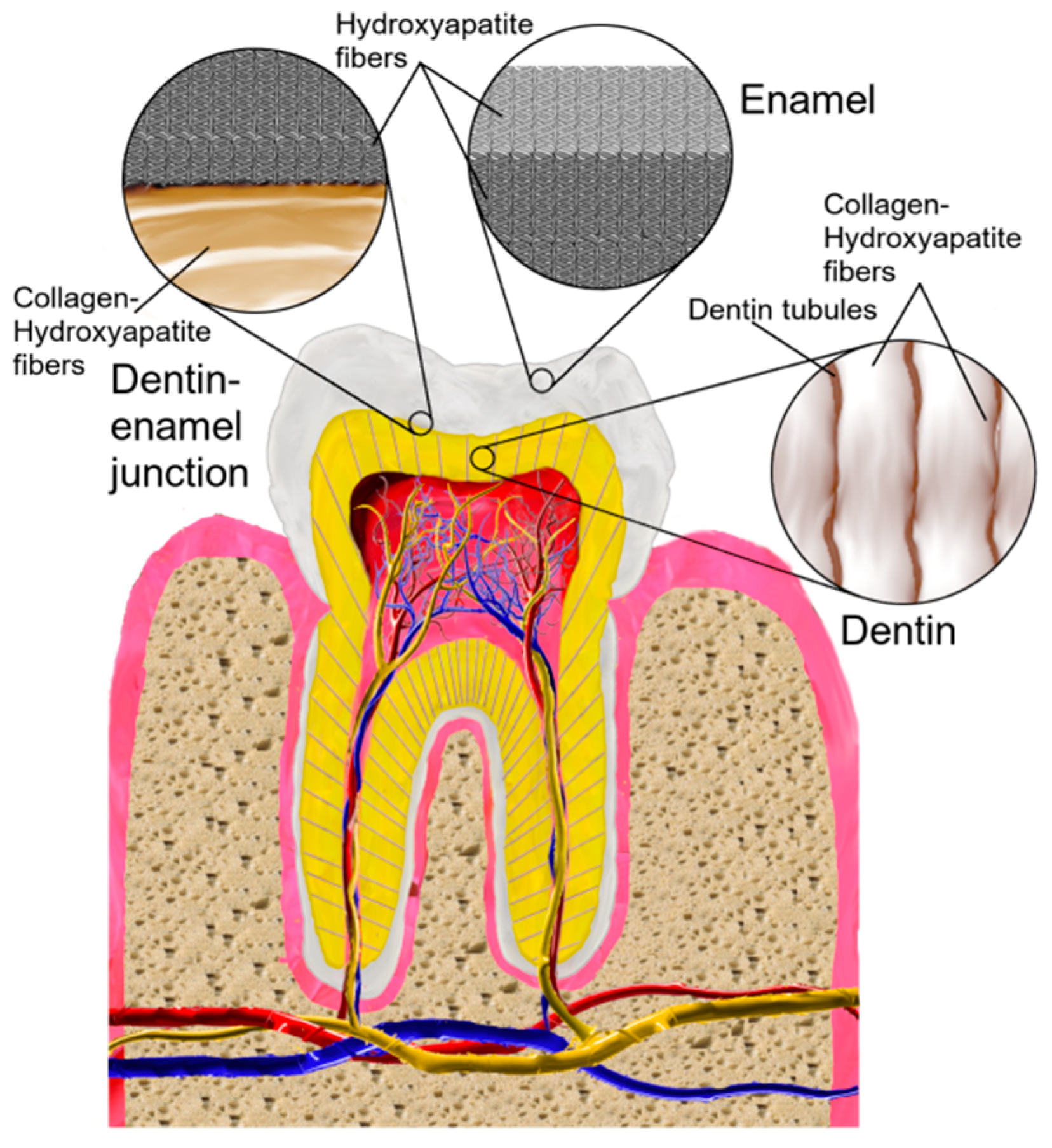 Nanomaterials 13 02130 g001 Nanomaterials 13 02130 g001