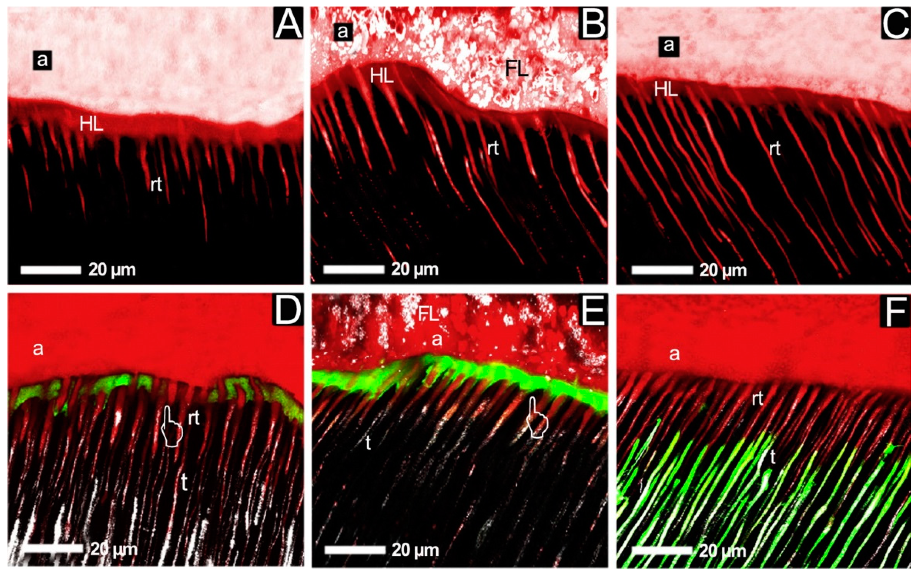 Nanomaterials 13 02130 g004 Nanomaterials 13 02130 g004