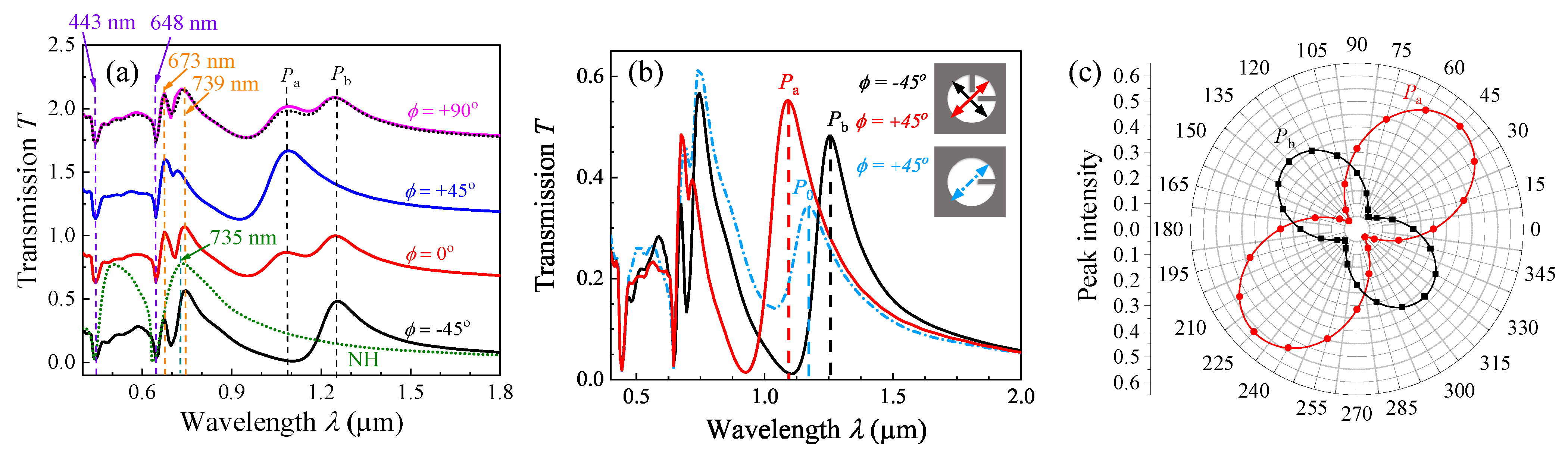Nanomaterials 13 02135 g002
