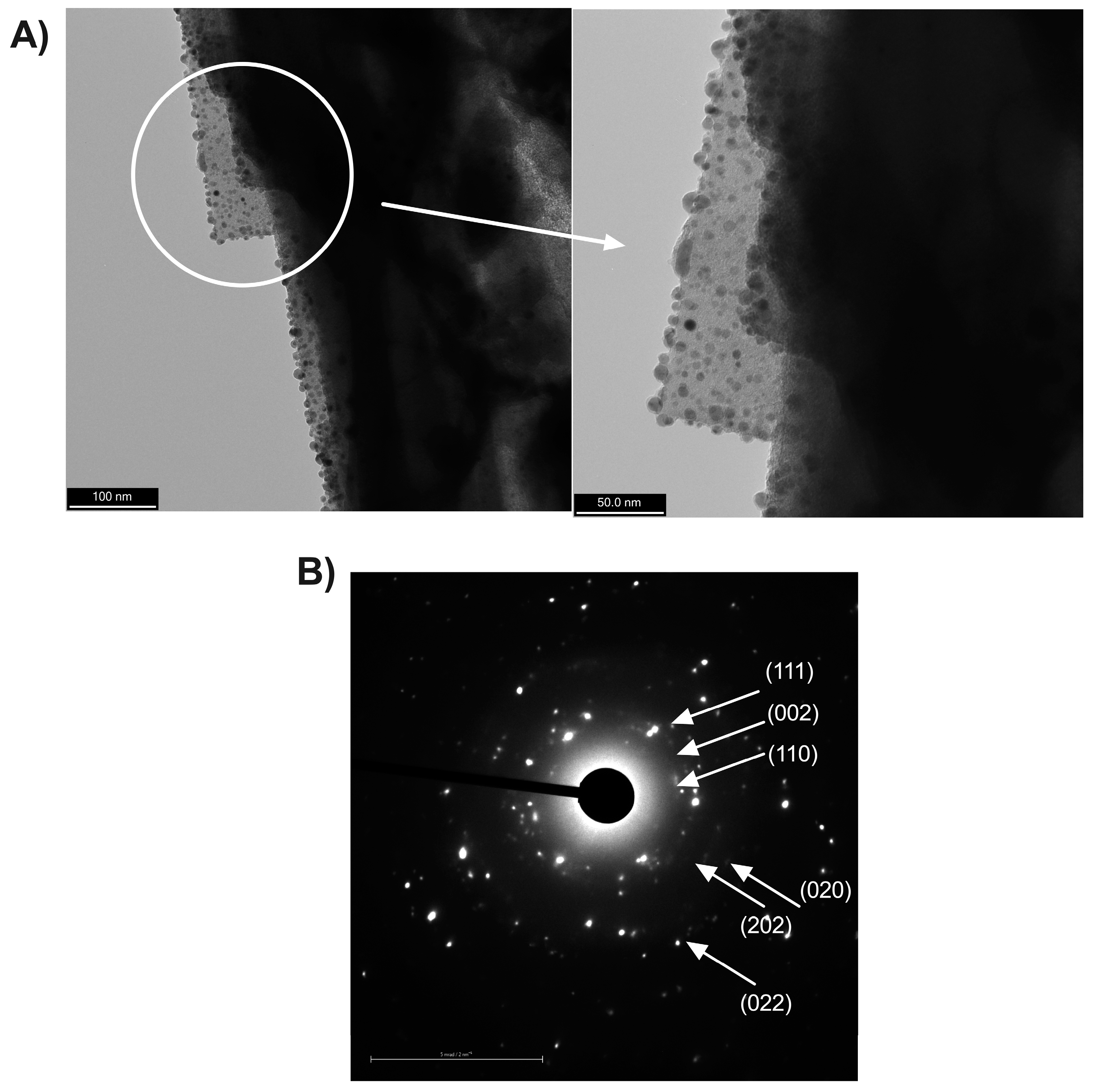 Nanomaterials 13 02140 g004