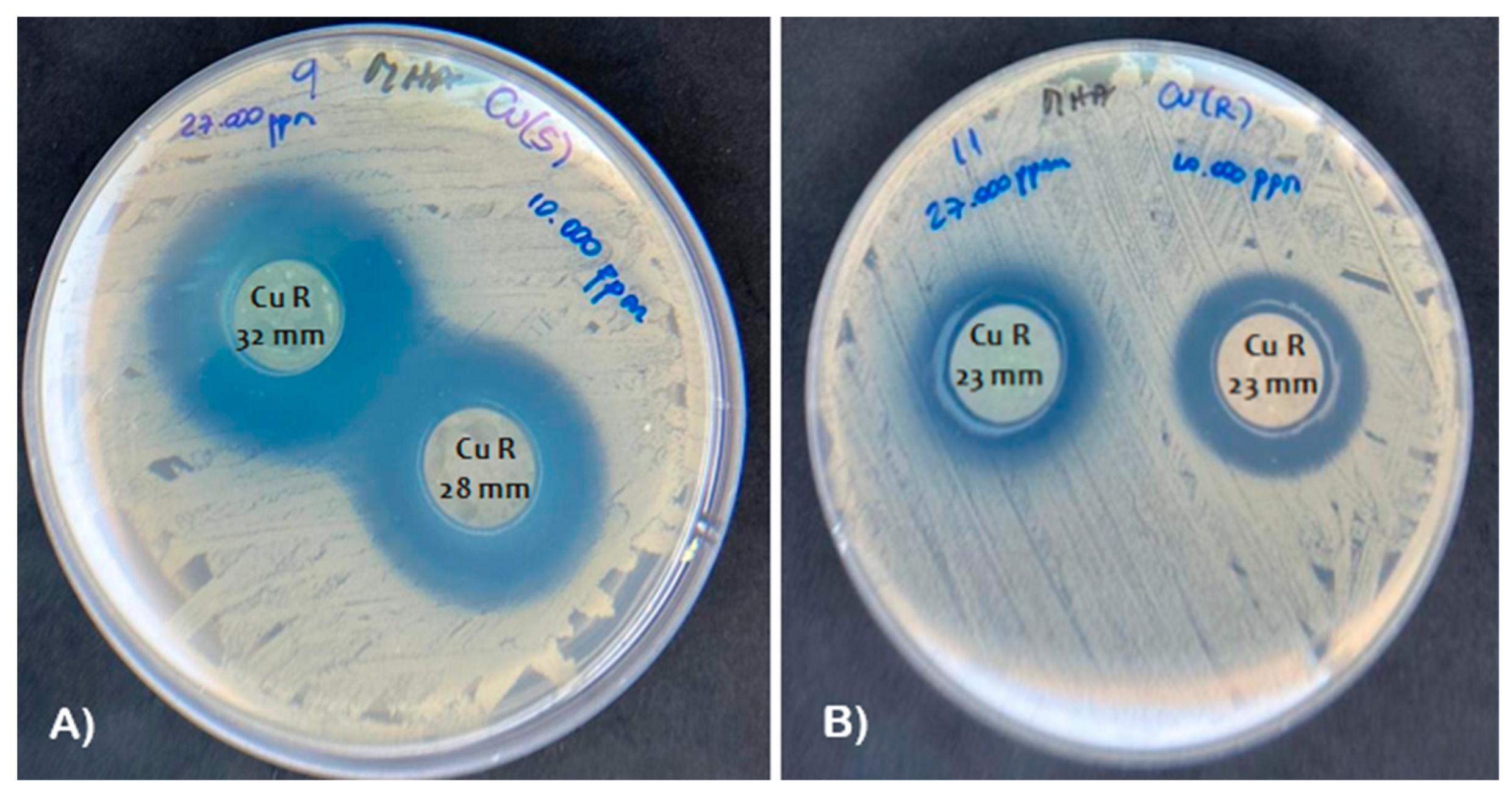 Nanomaterials 13 02140 g006