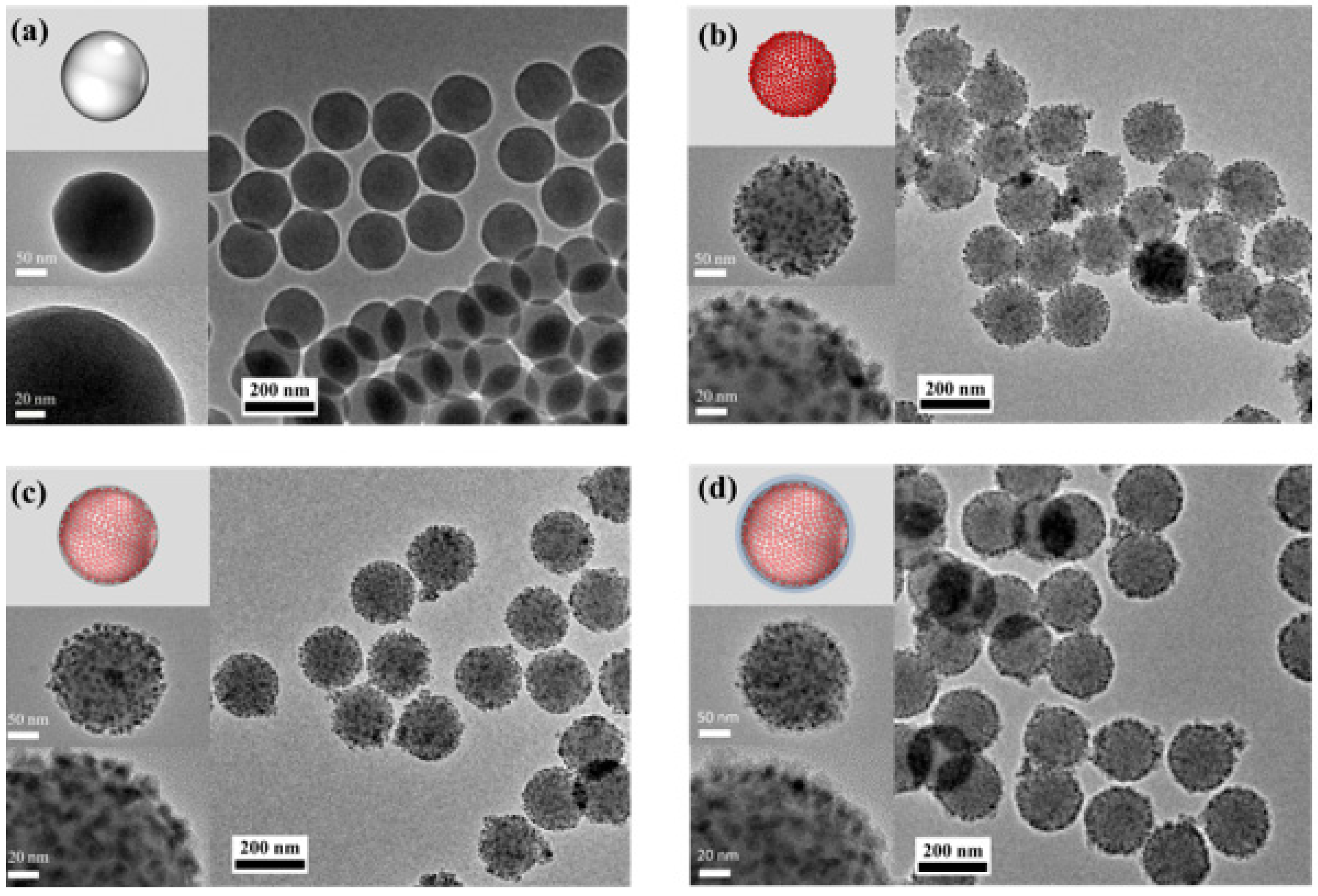 Nanomaterials 13 02145 g002 Nanomaterials 13 02145 g002
