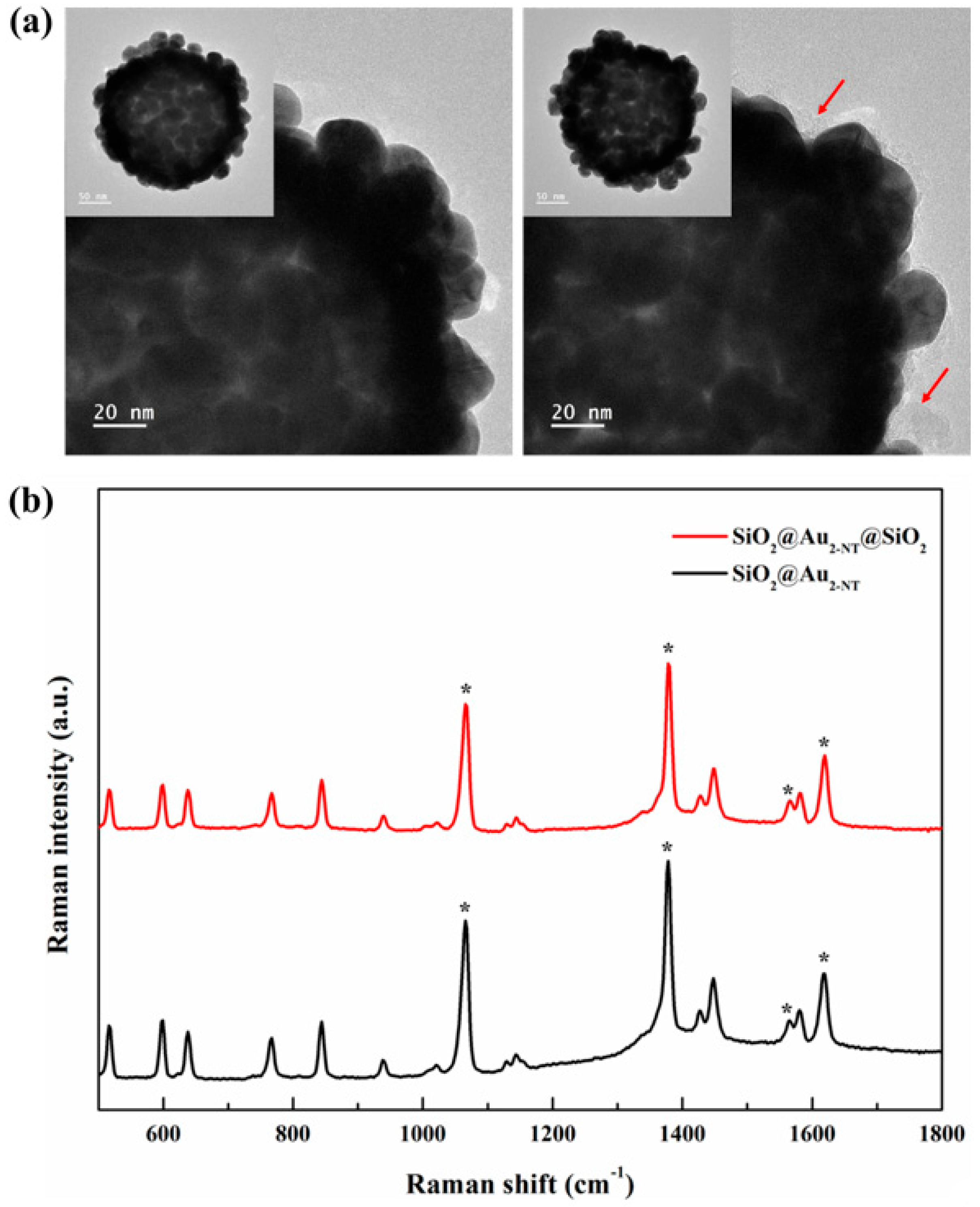 Nanomaterials 13 02145 g005 Nanomaterials 13 02145 g005