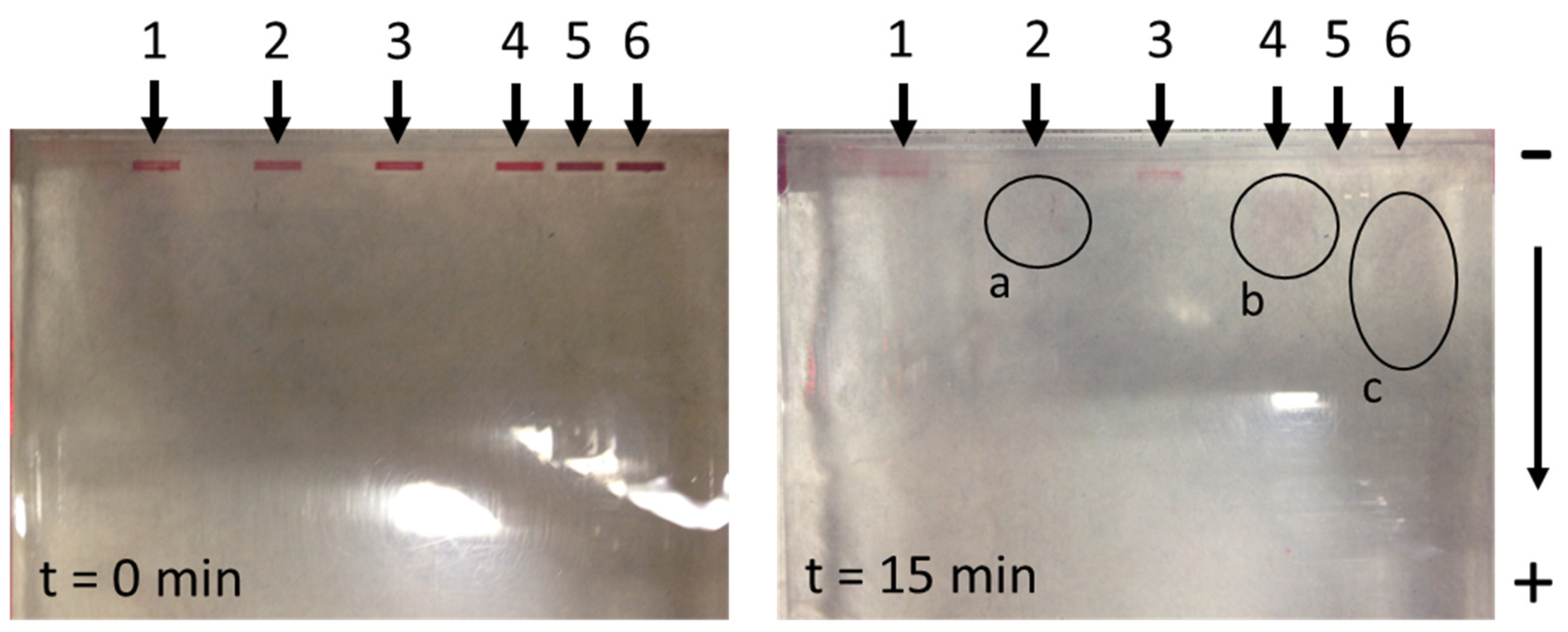 Nanomaterials 13 02160 g007