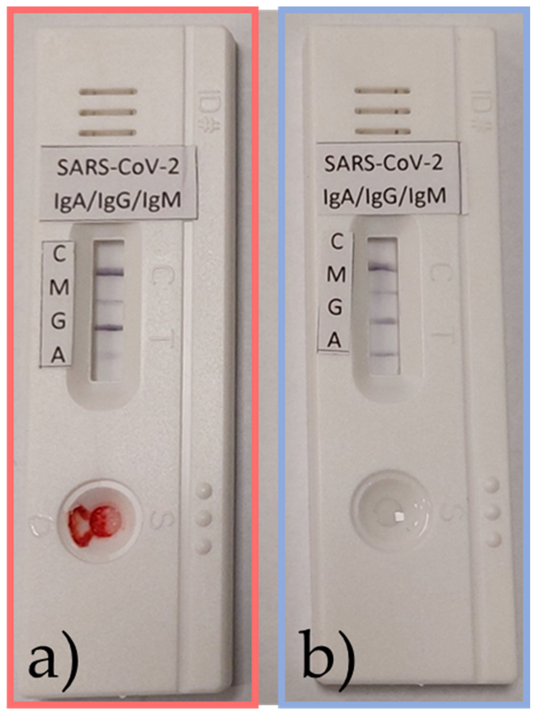 Nanomaterials 13 02160 g012